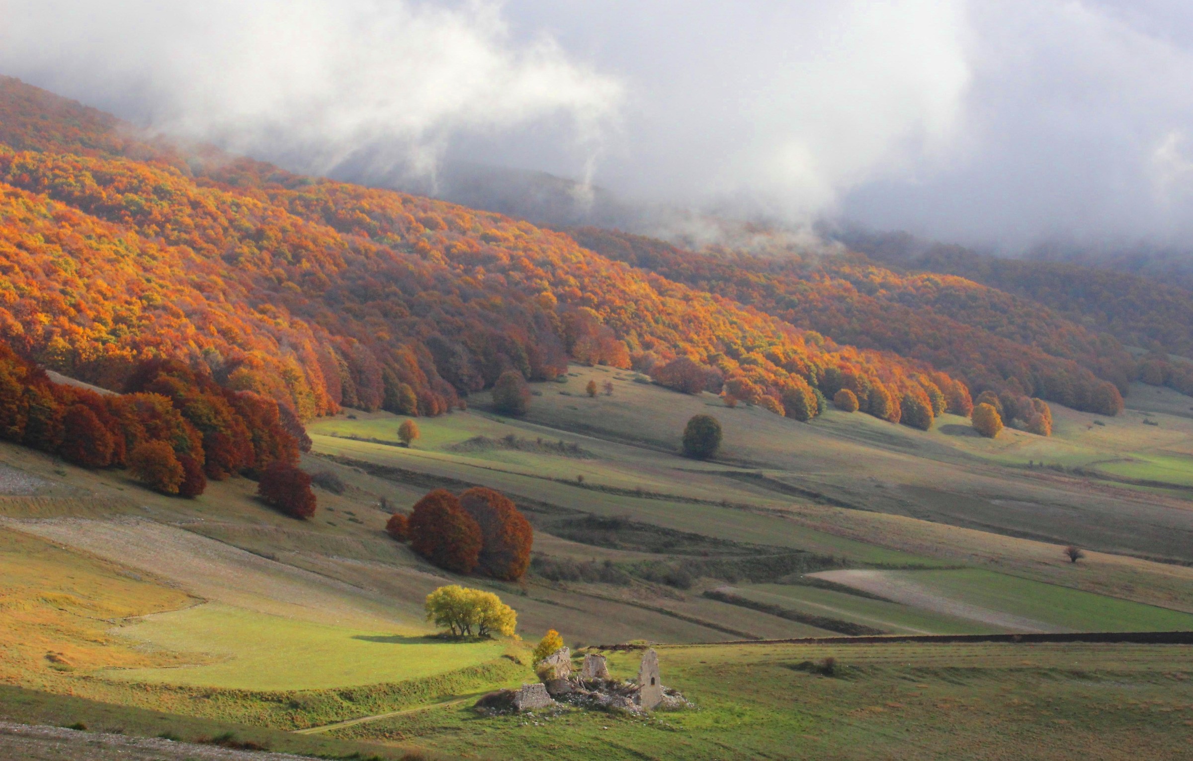 Flows of colors and fog on the valley