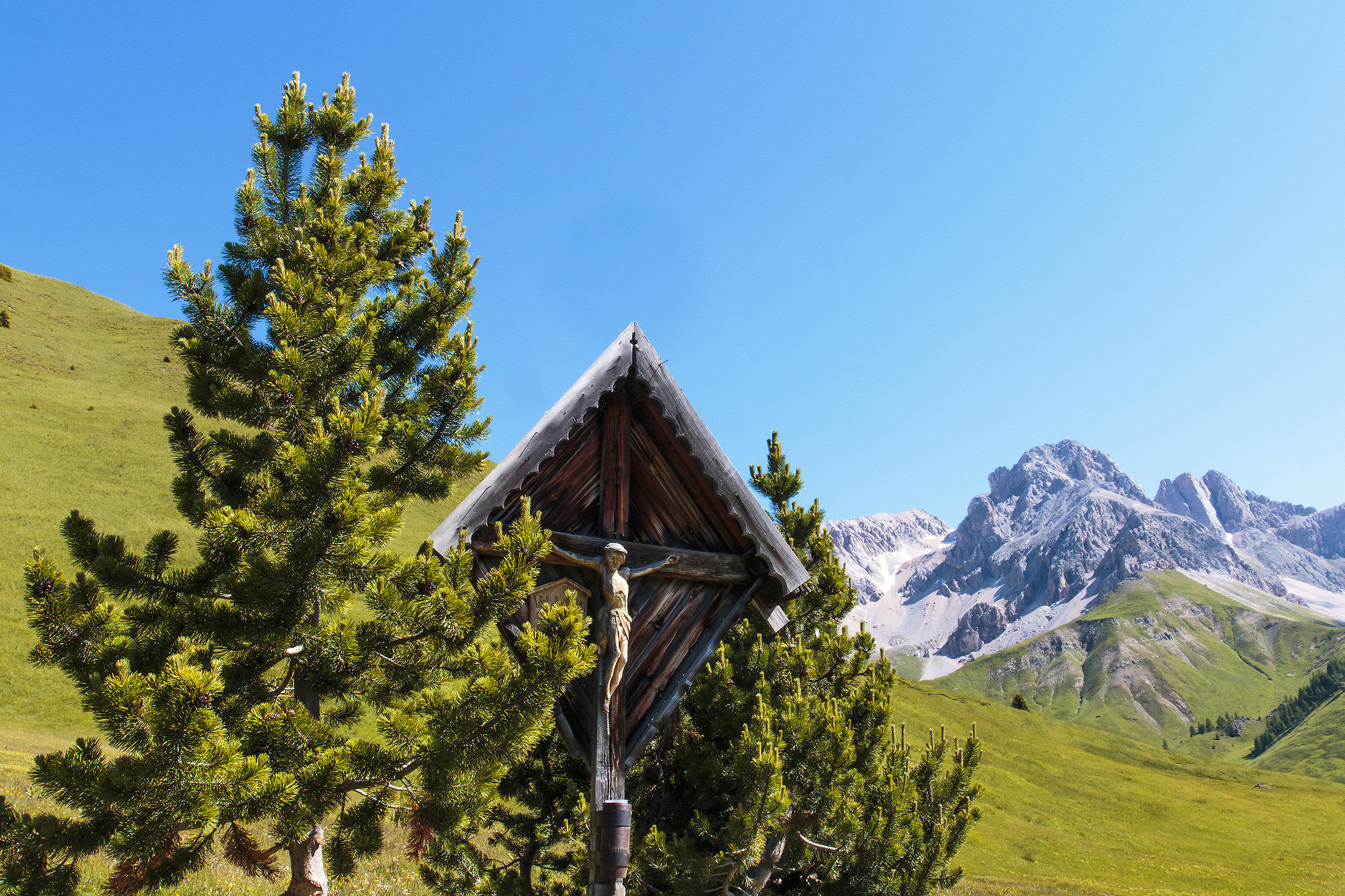 A crucifix among the pines.