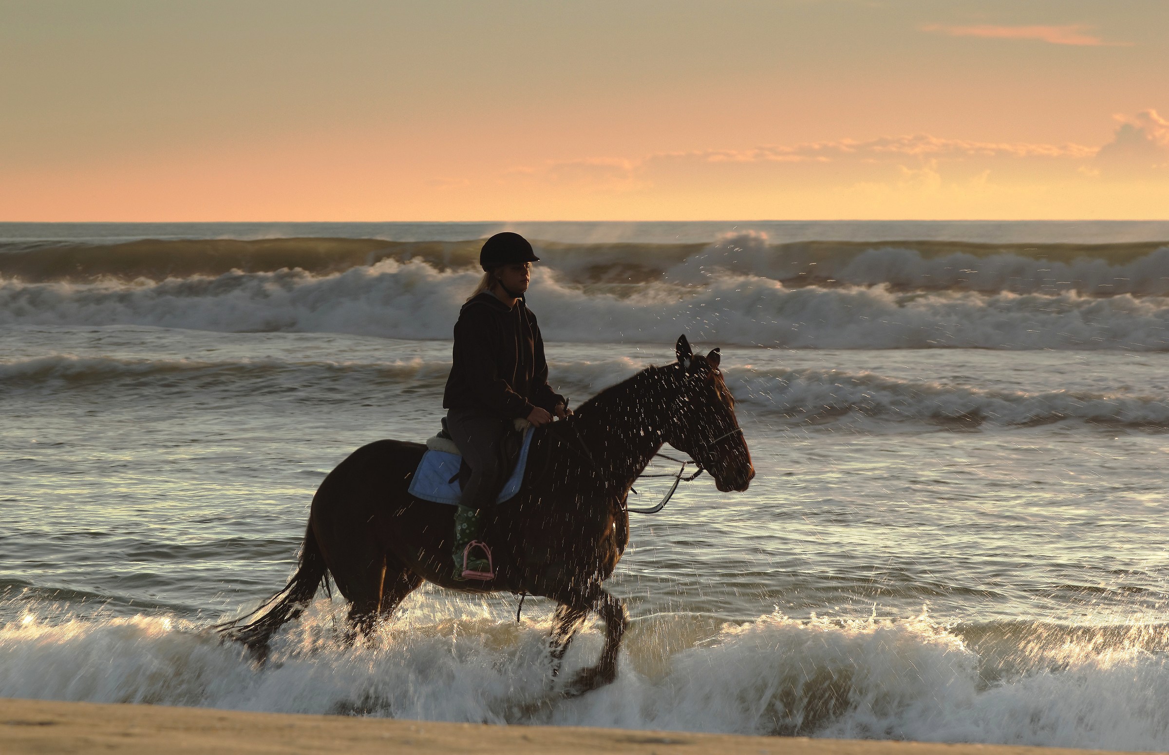 Giovane donna e cavallo sul spiagga del mare