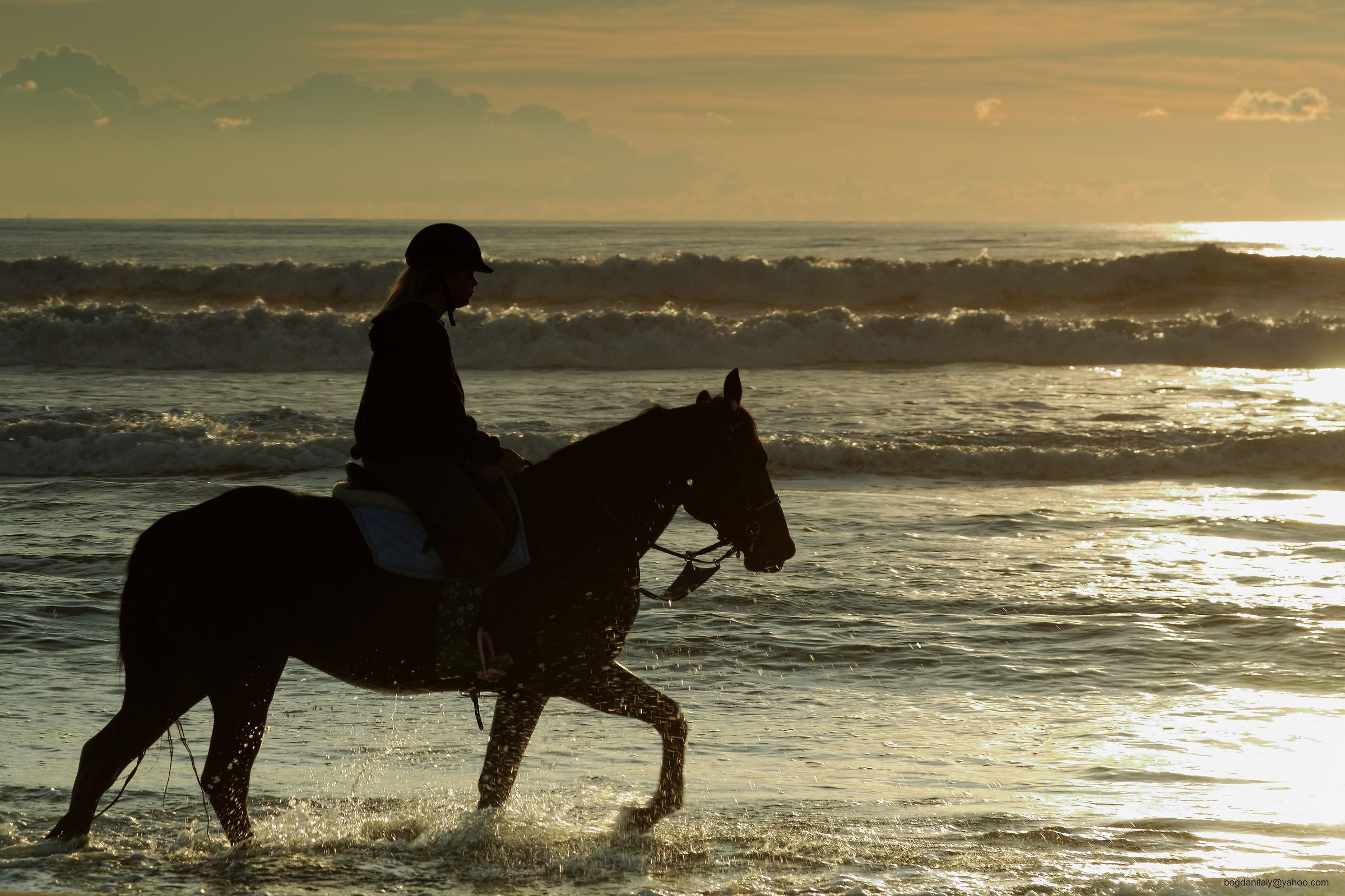 Giovane donna e cavallo sul spiagga del mare