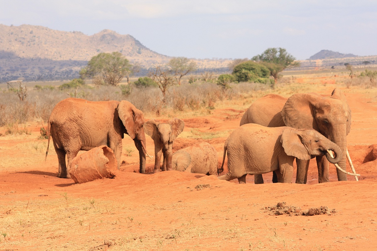 tsavo east