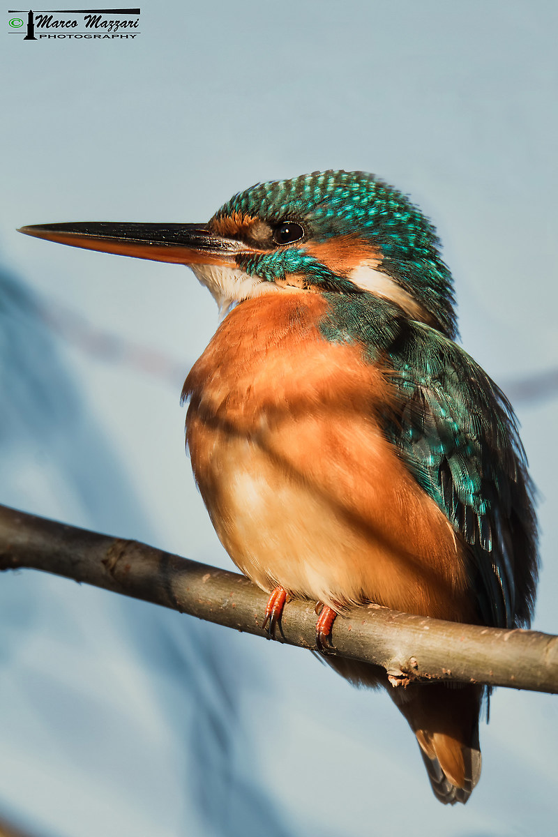 ... I will be boring ... But I was missing ....