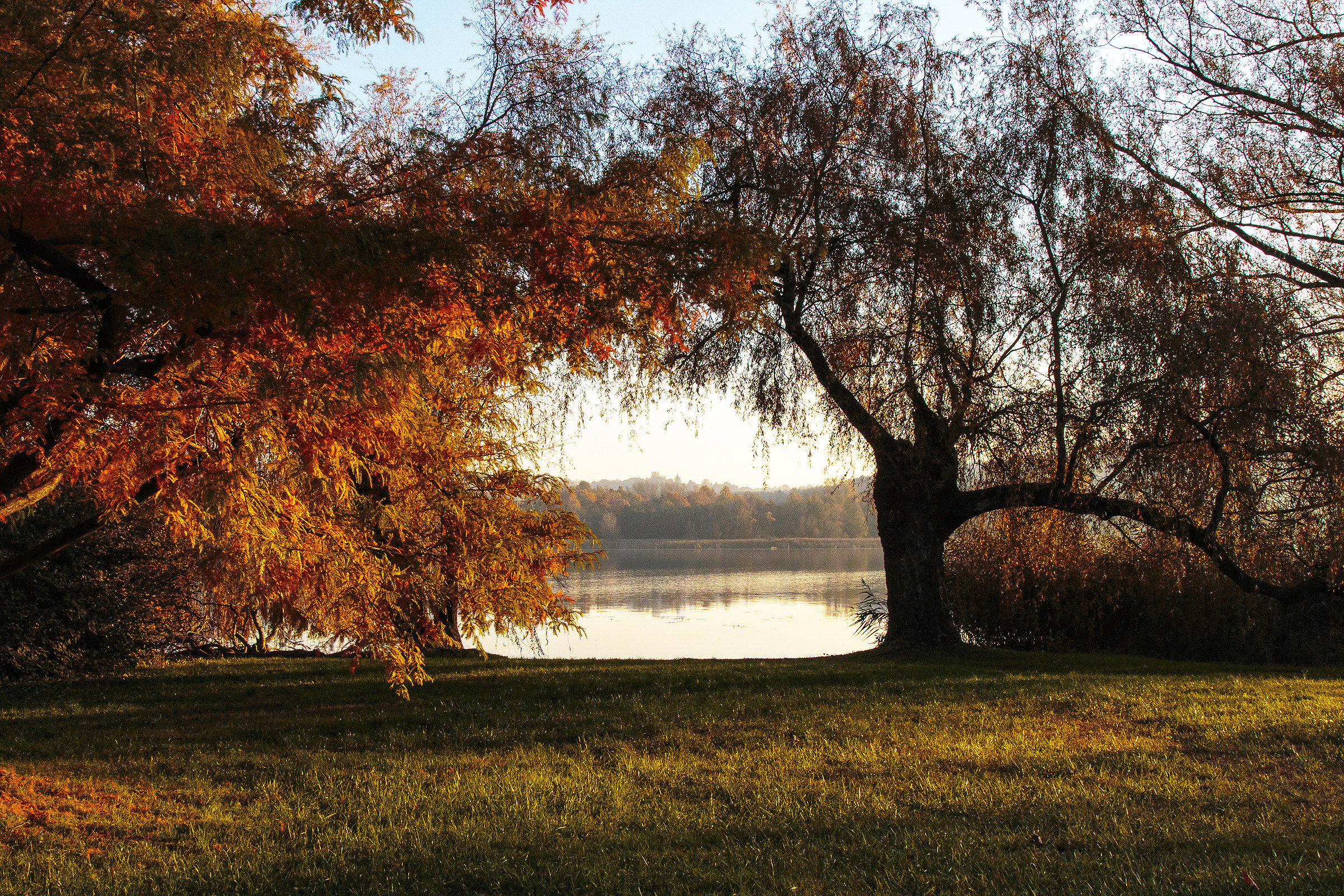 Autumn colors on the lake 4