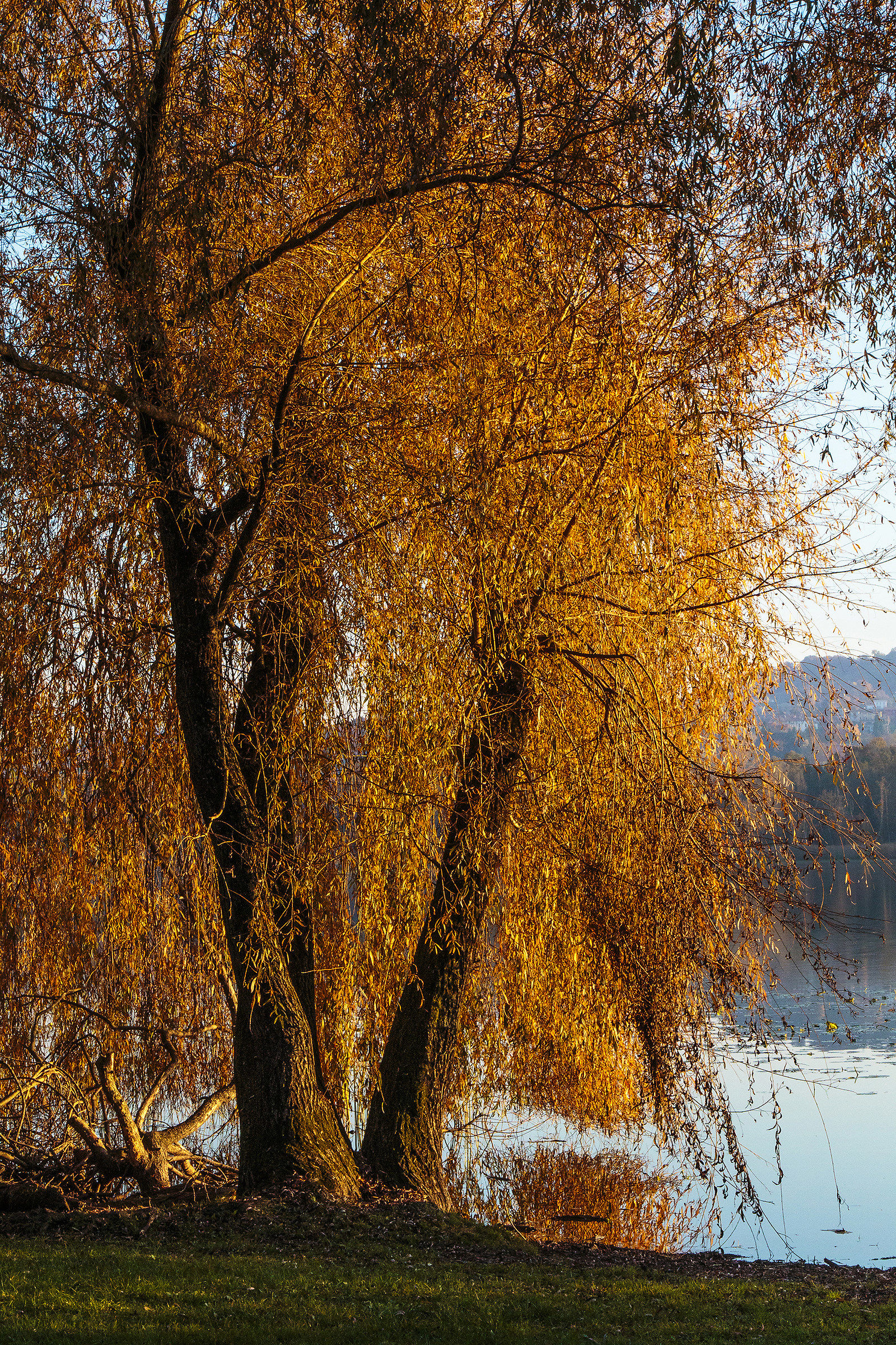 Autumn colors on the lake 5.