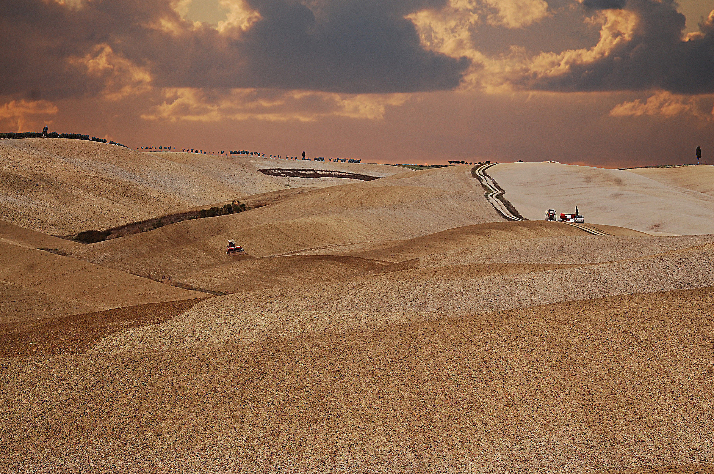 The salt of the ground