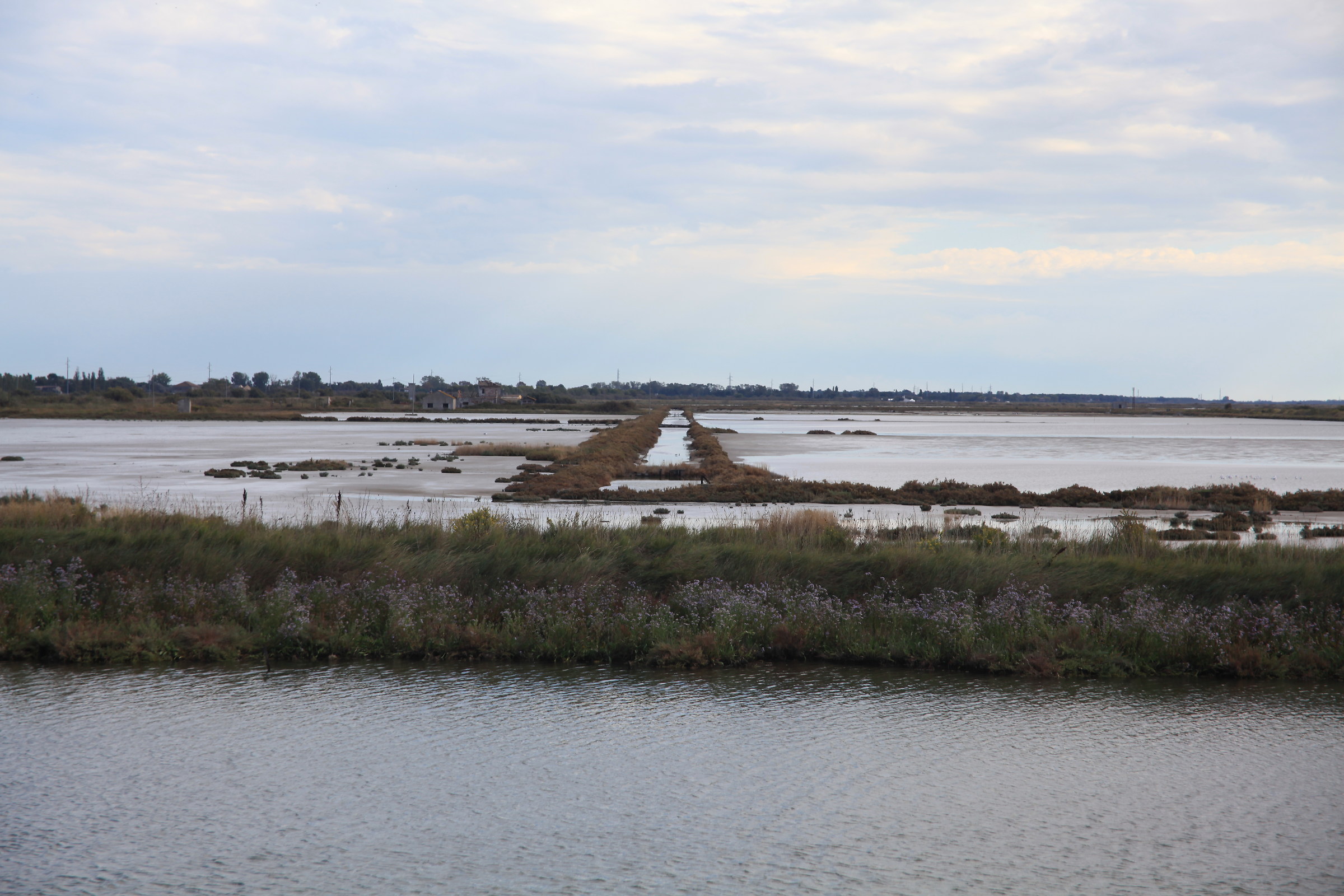 salina di comacchio fe.