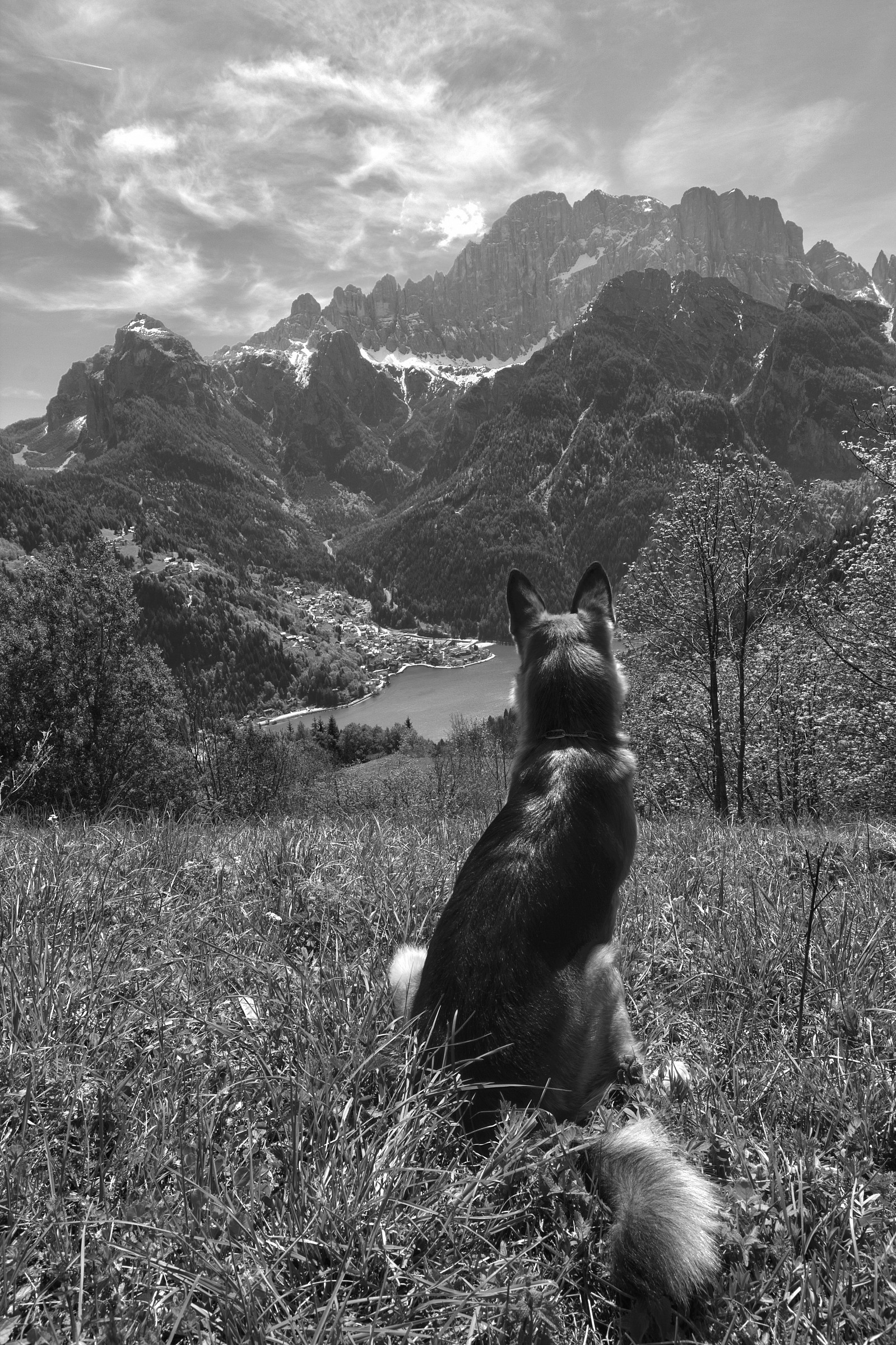 Leo looks at the Owl and Lake Alleghe