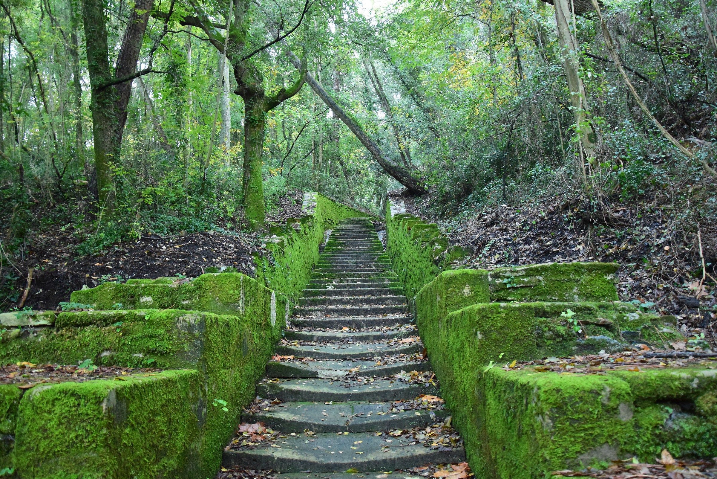 Back from the underworld Green