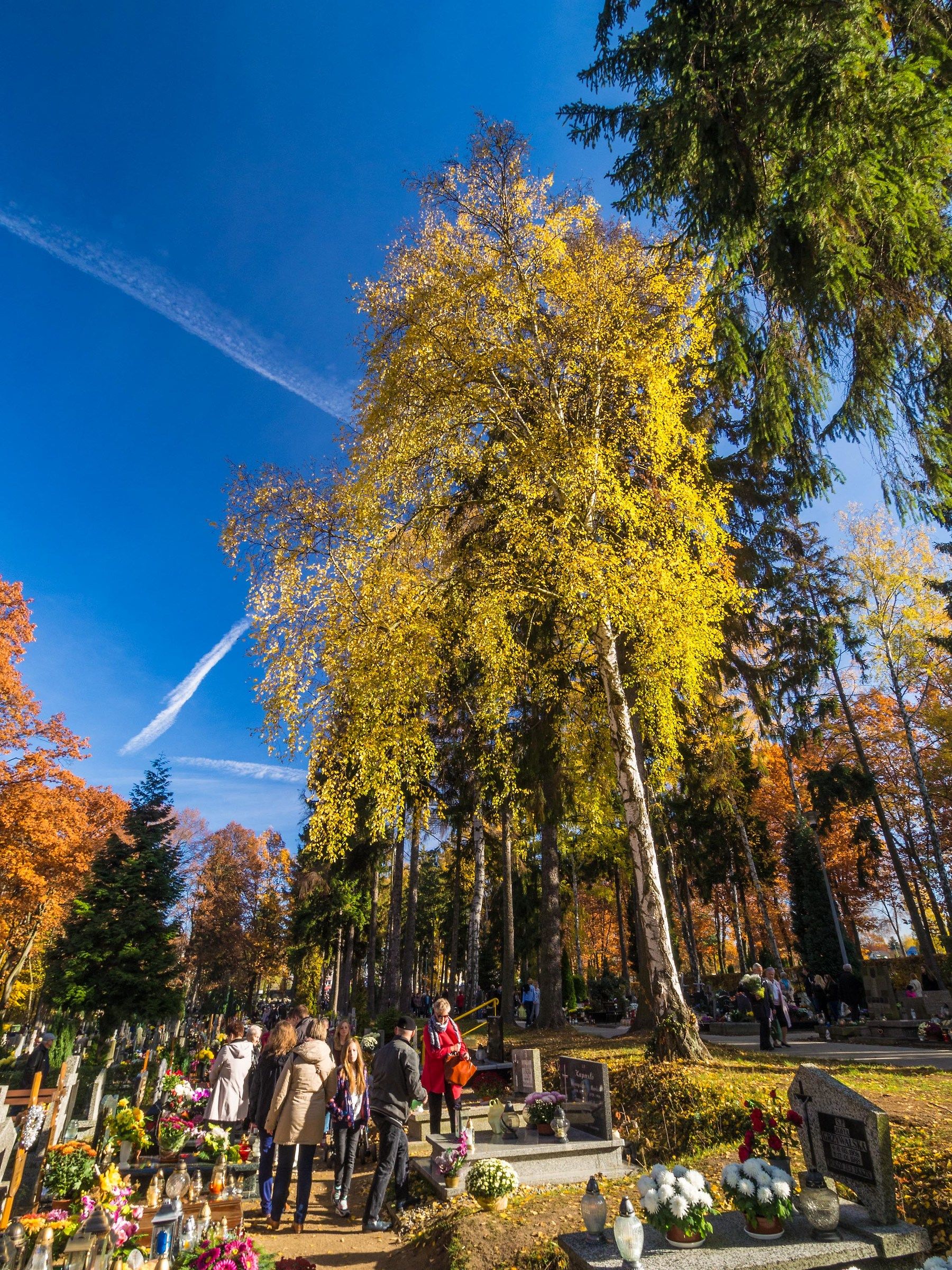 The cementary in autumn 2