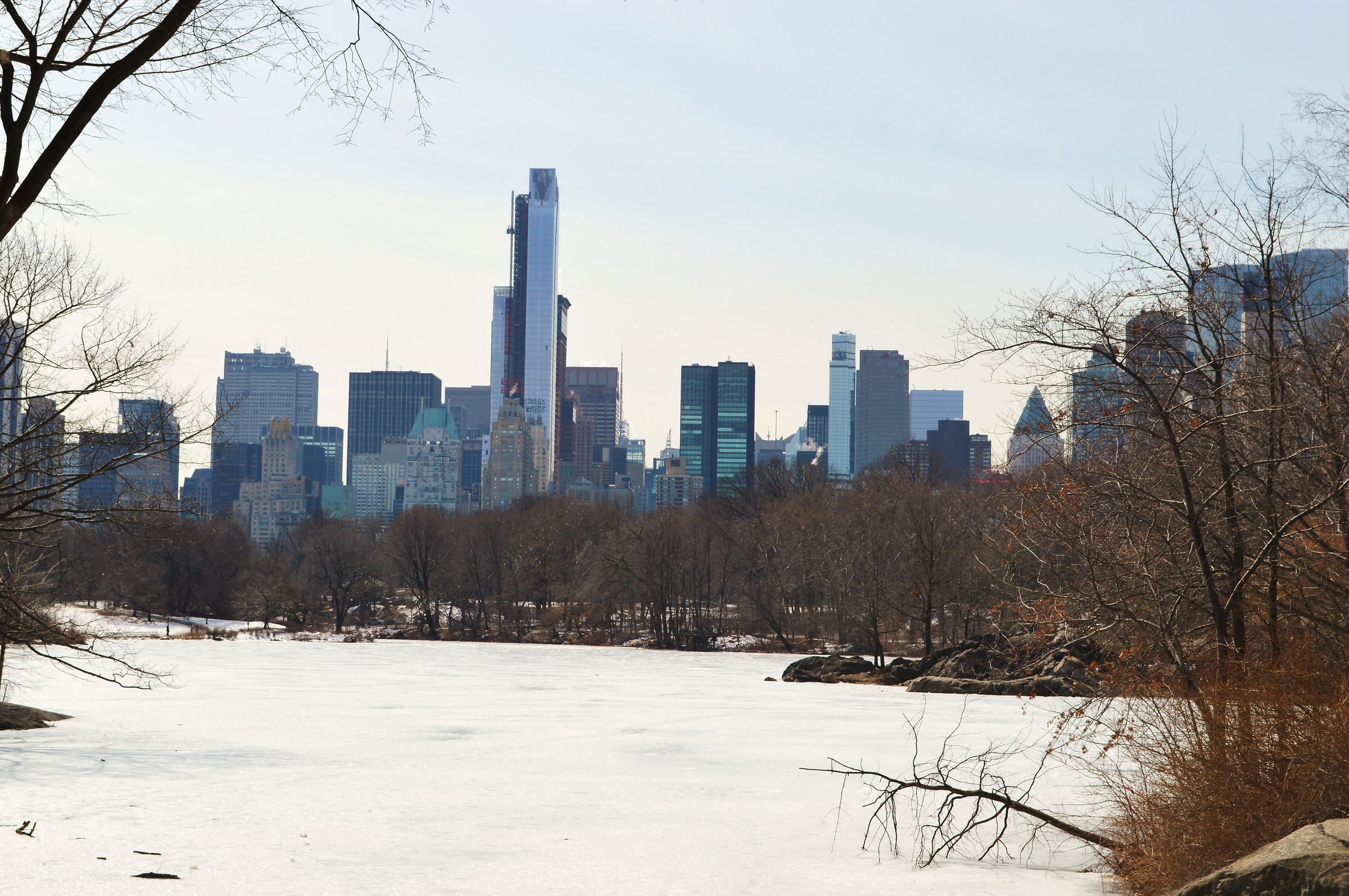 central park new york