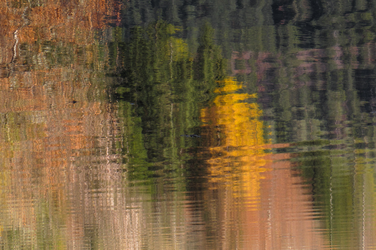 Nel pieno dell'autunno