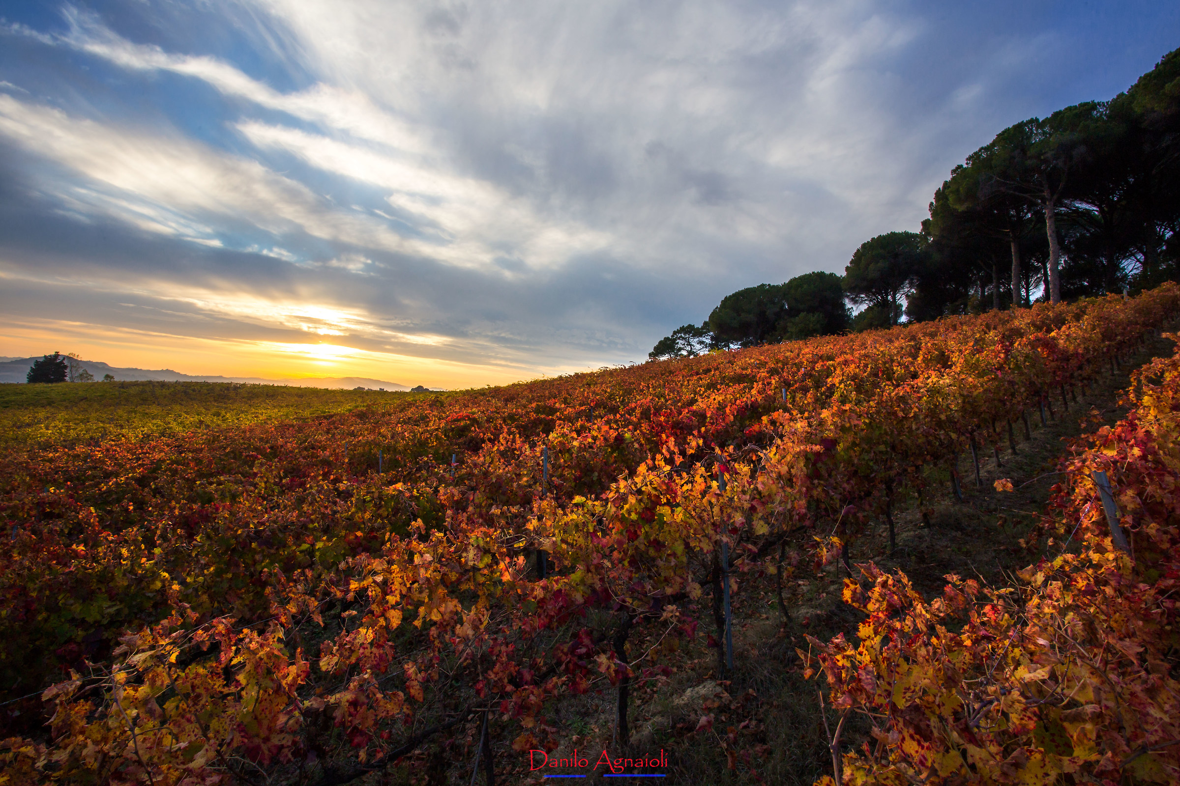 Un mare di vino !!!!
