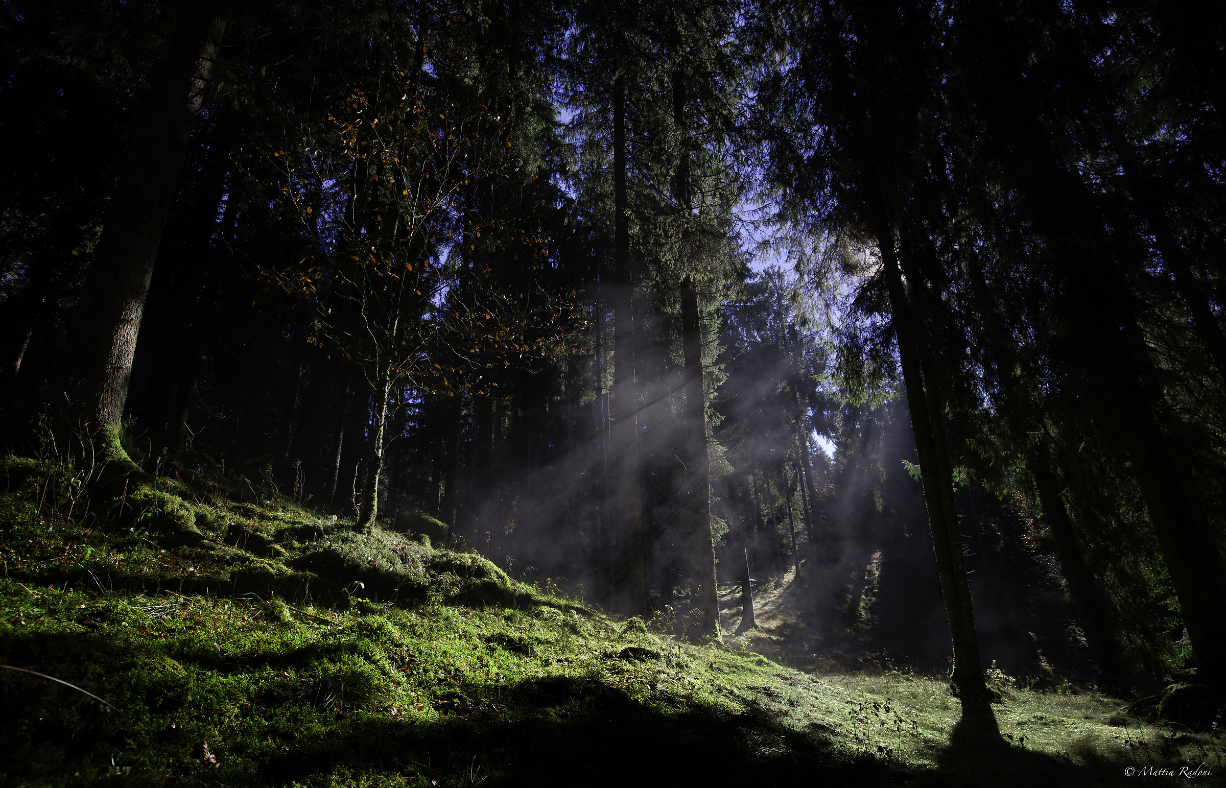 The morning nature awakens