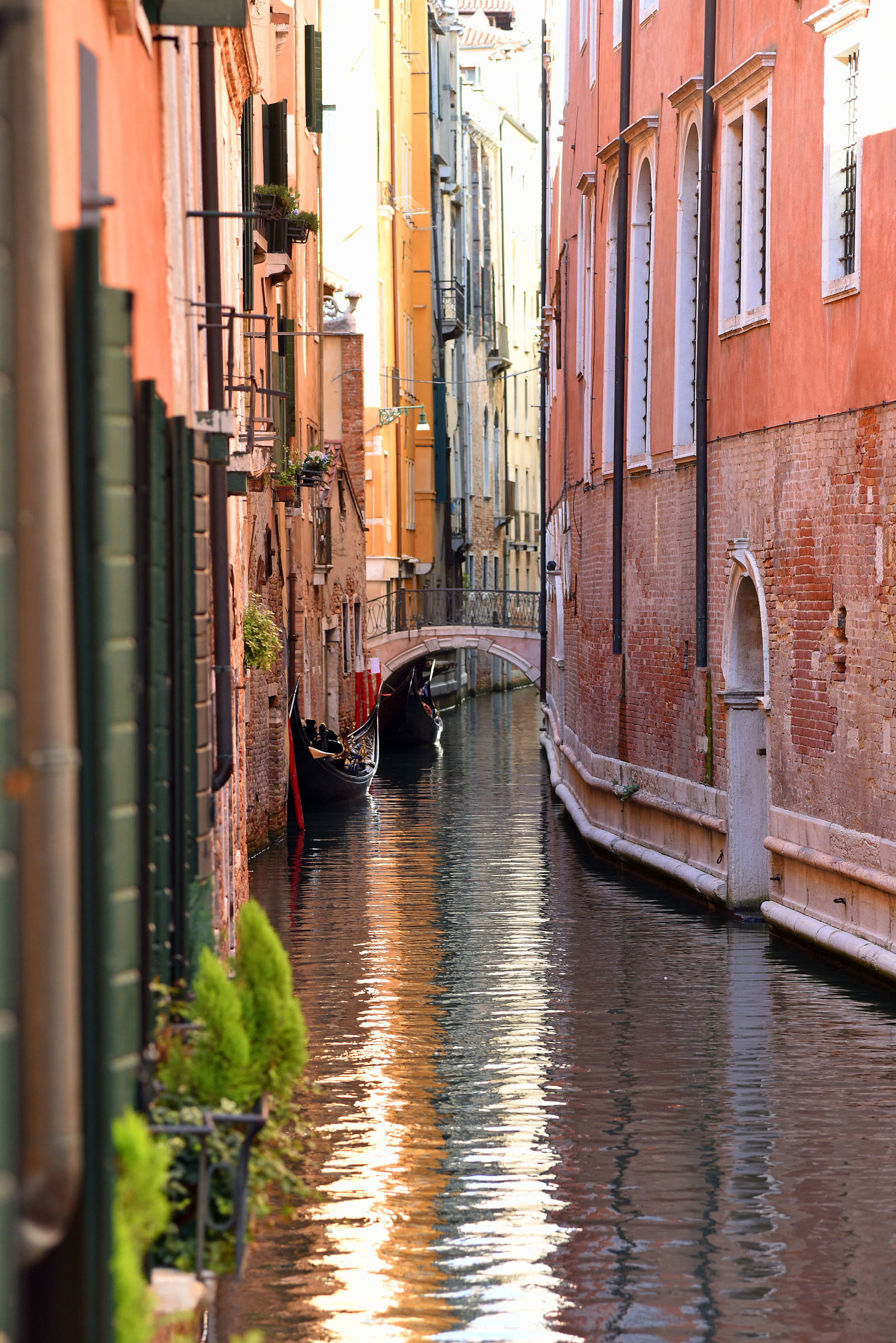 Venetian colors evening