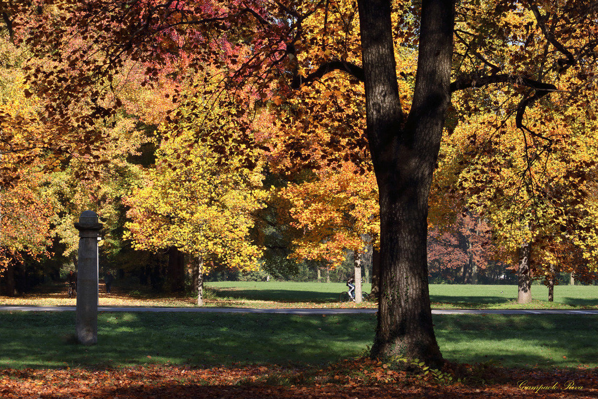 I coloro dell'autunno al Parco di Monza