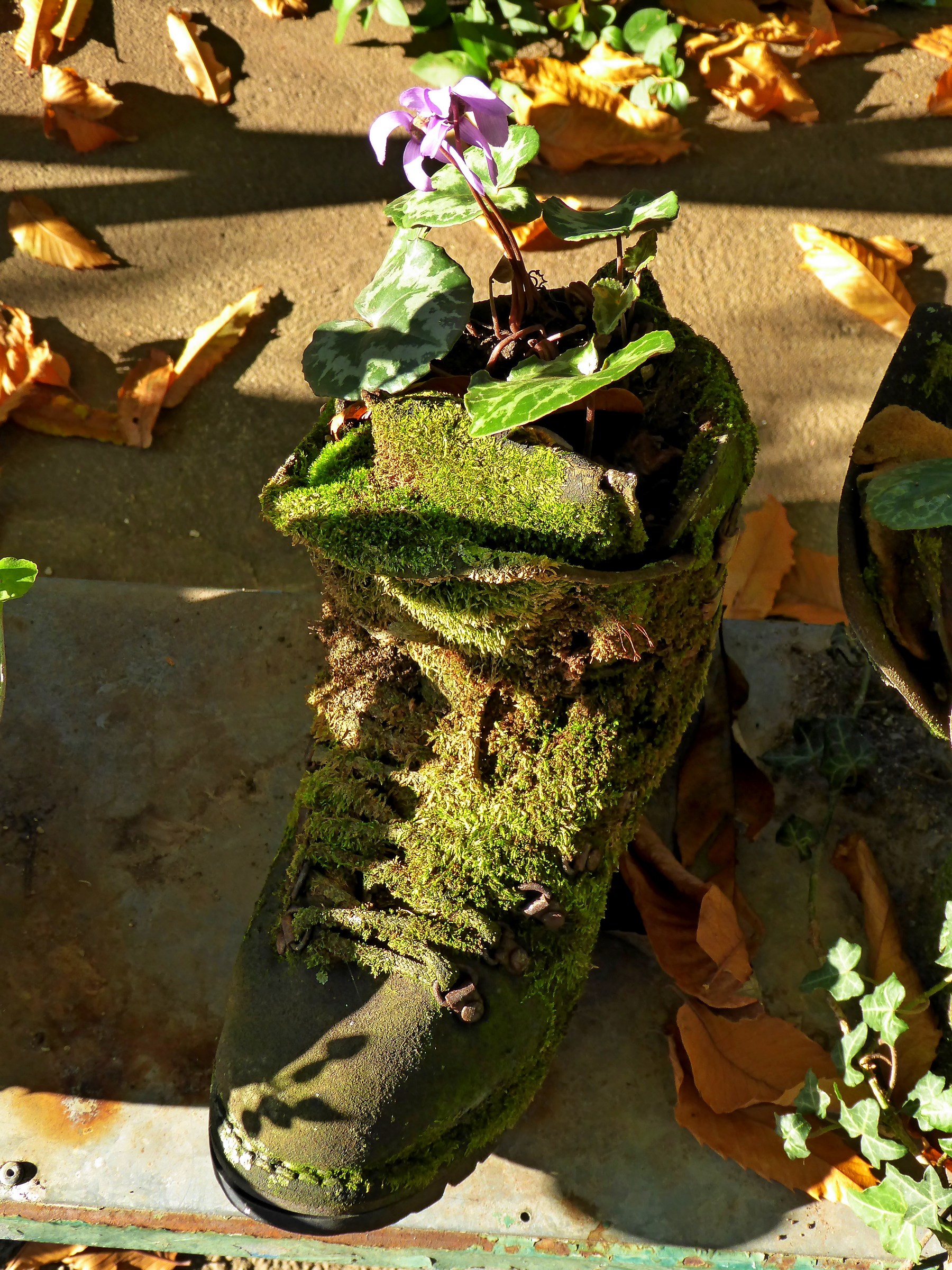 old boot quant ........