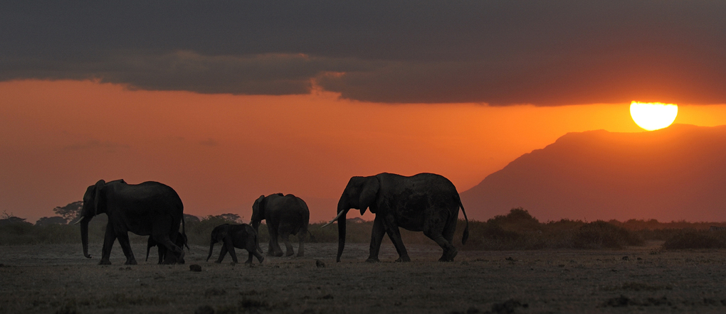Tramonto all'Amboseli National Park, Kenya