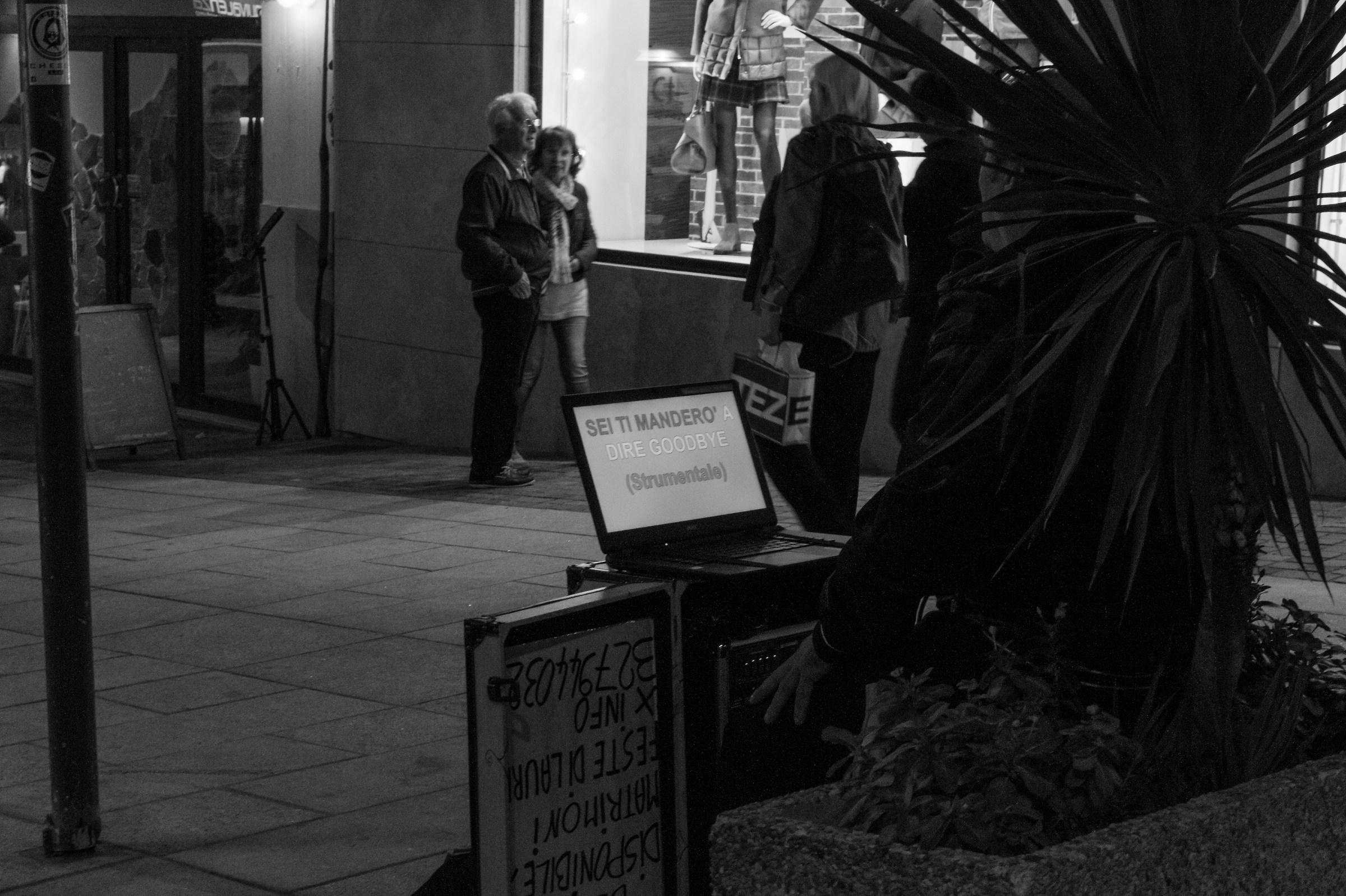 Menestrello del 21° secolo