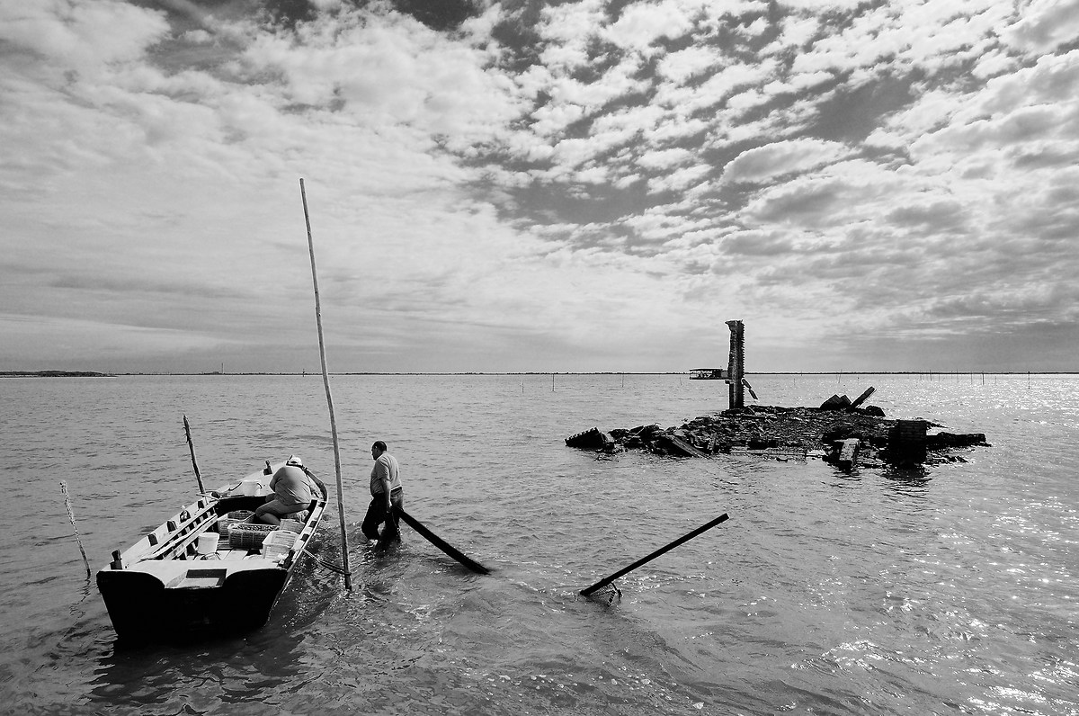 tonight spaghetti with caparosoli