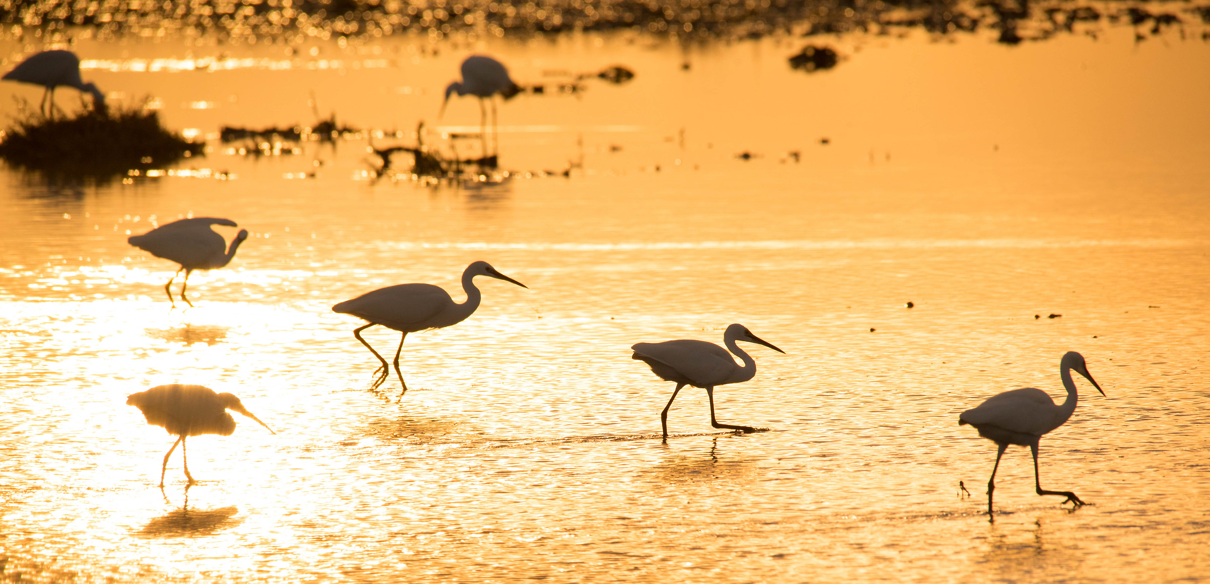 In search of lost geometries