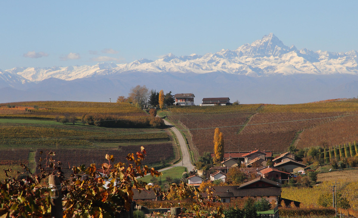 Langhe autumn