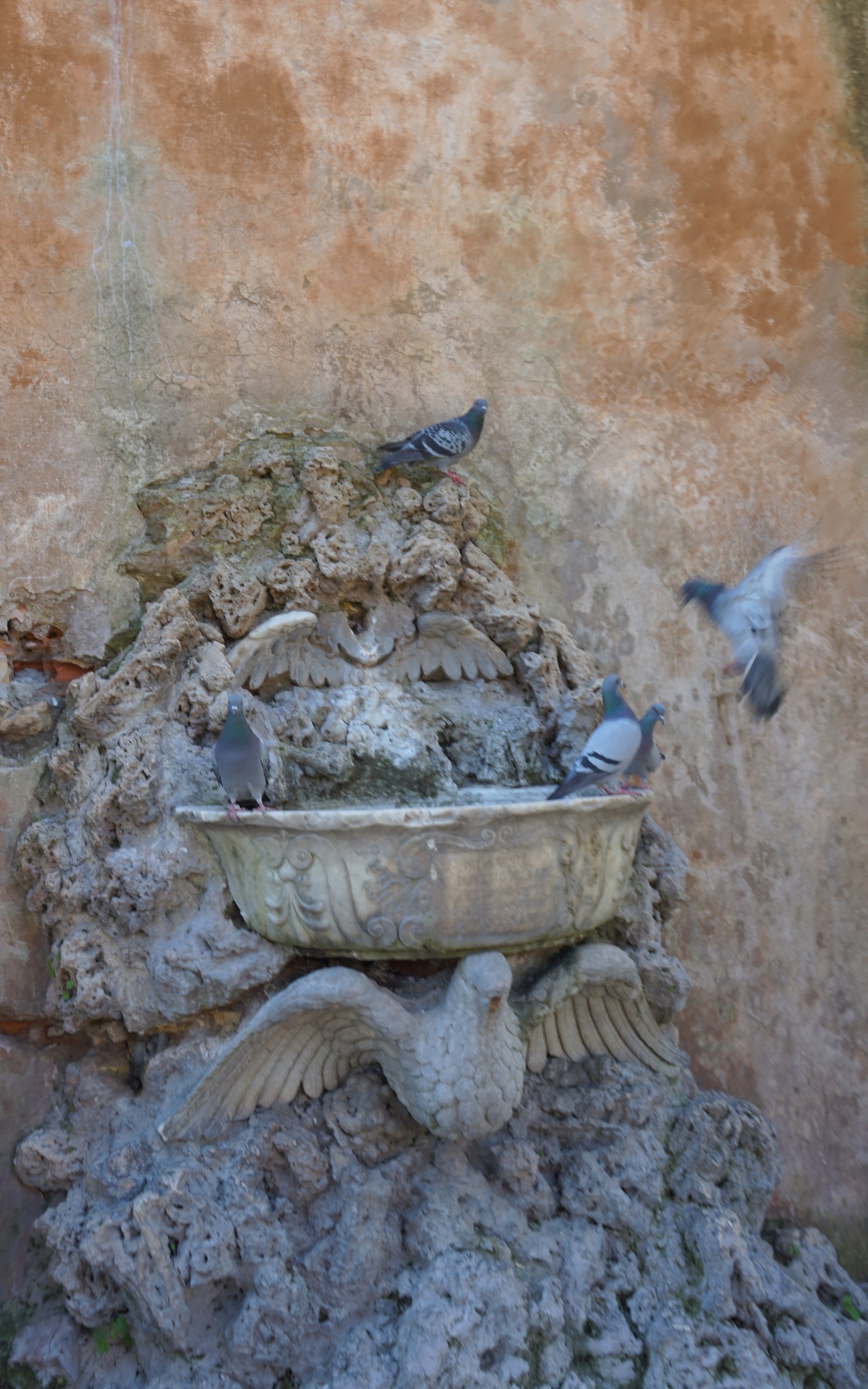 Fontana delle colombe