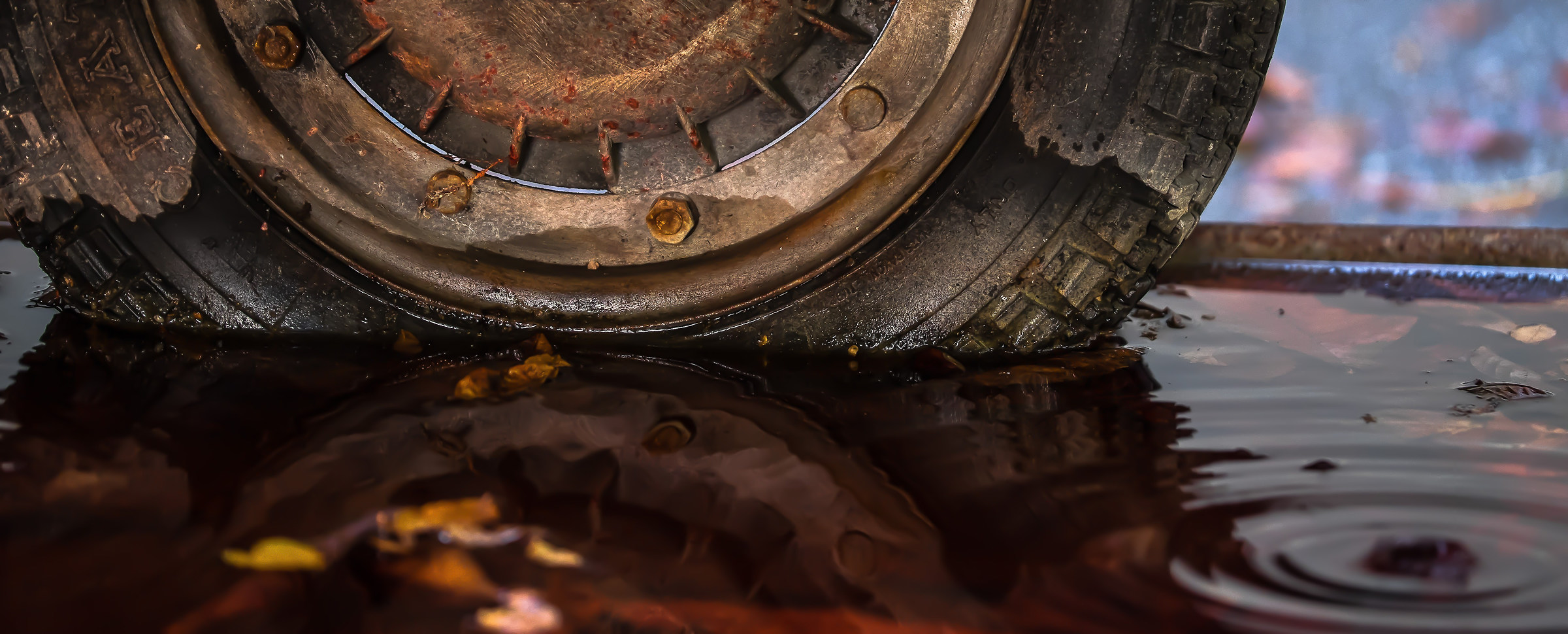 immersed in an autumn russet ..............