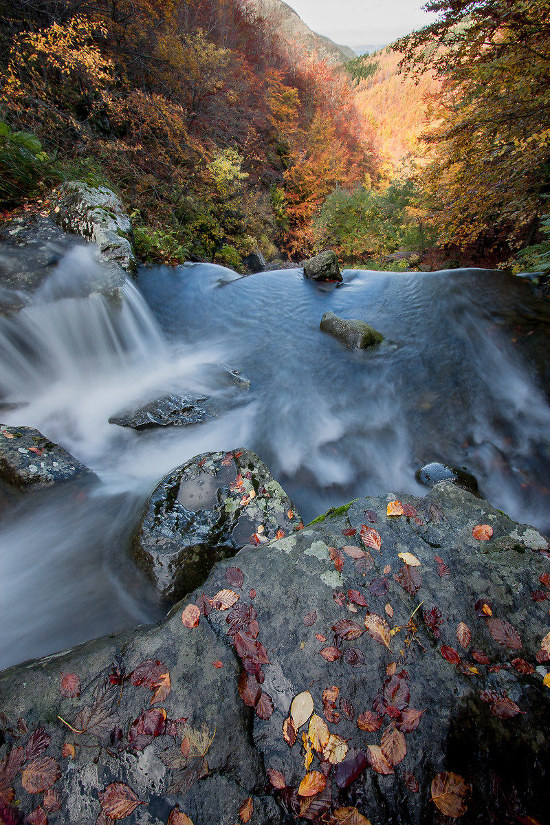 Il Dardagna e la sua valle