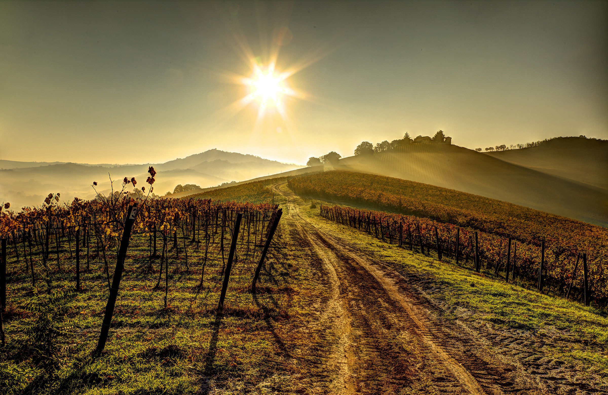 little more than 'Pavese