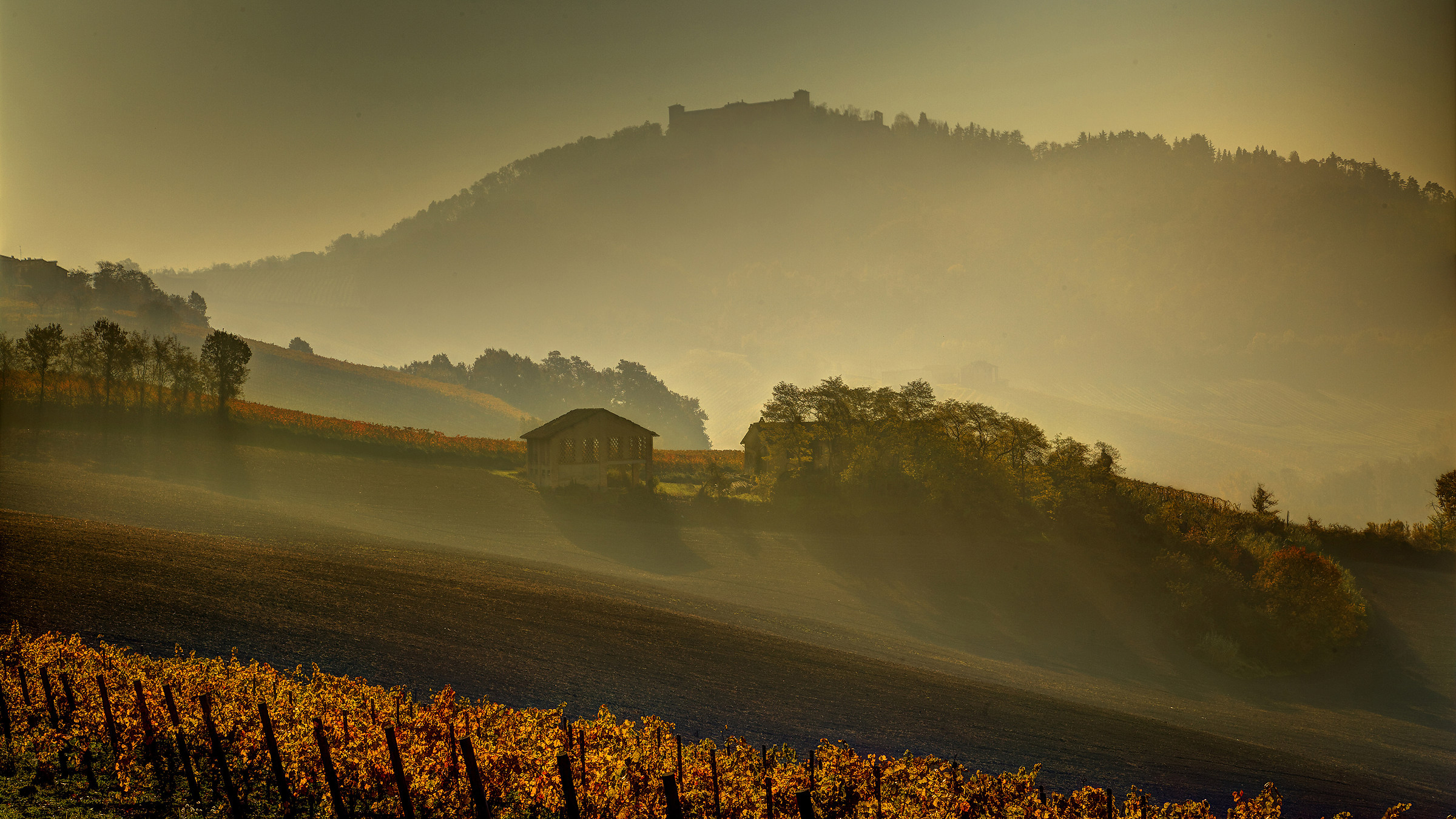 little more than 'Pavese