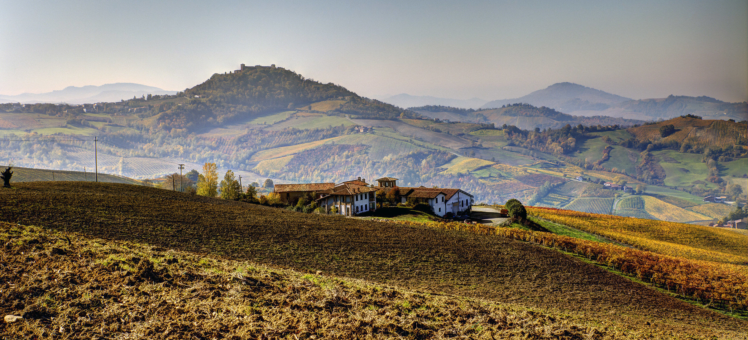 little more than 'Pavese