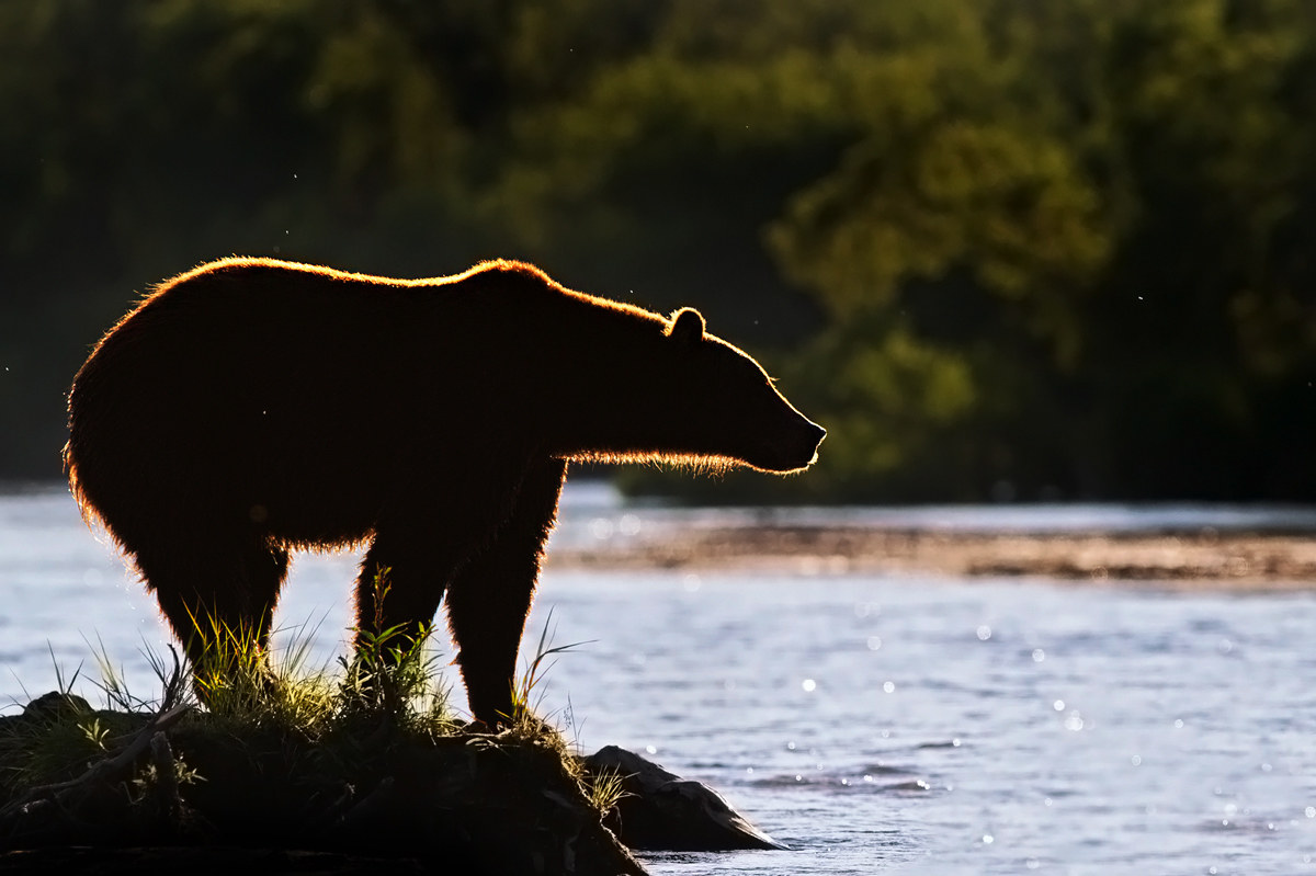 A River Runs Through It