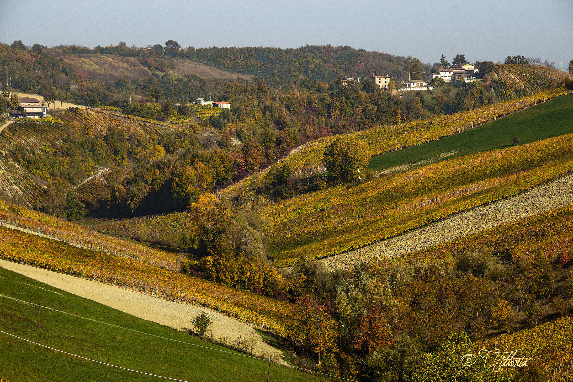 I colori dell'autunno  1