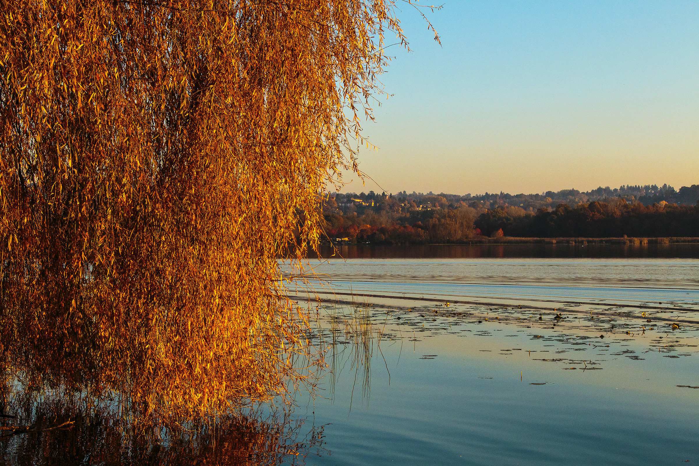 Autumn colors on the lake 6