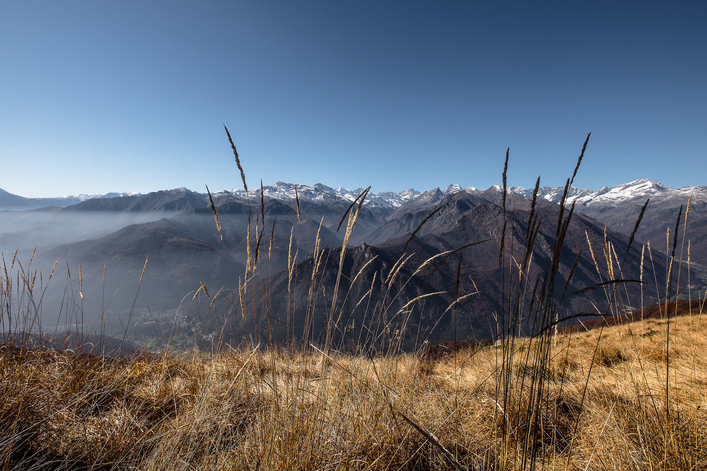 horizon ..............