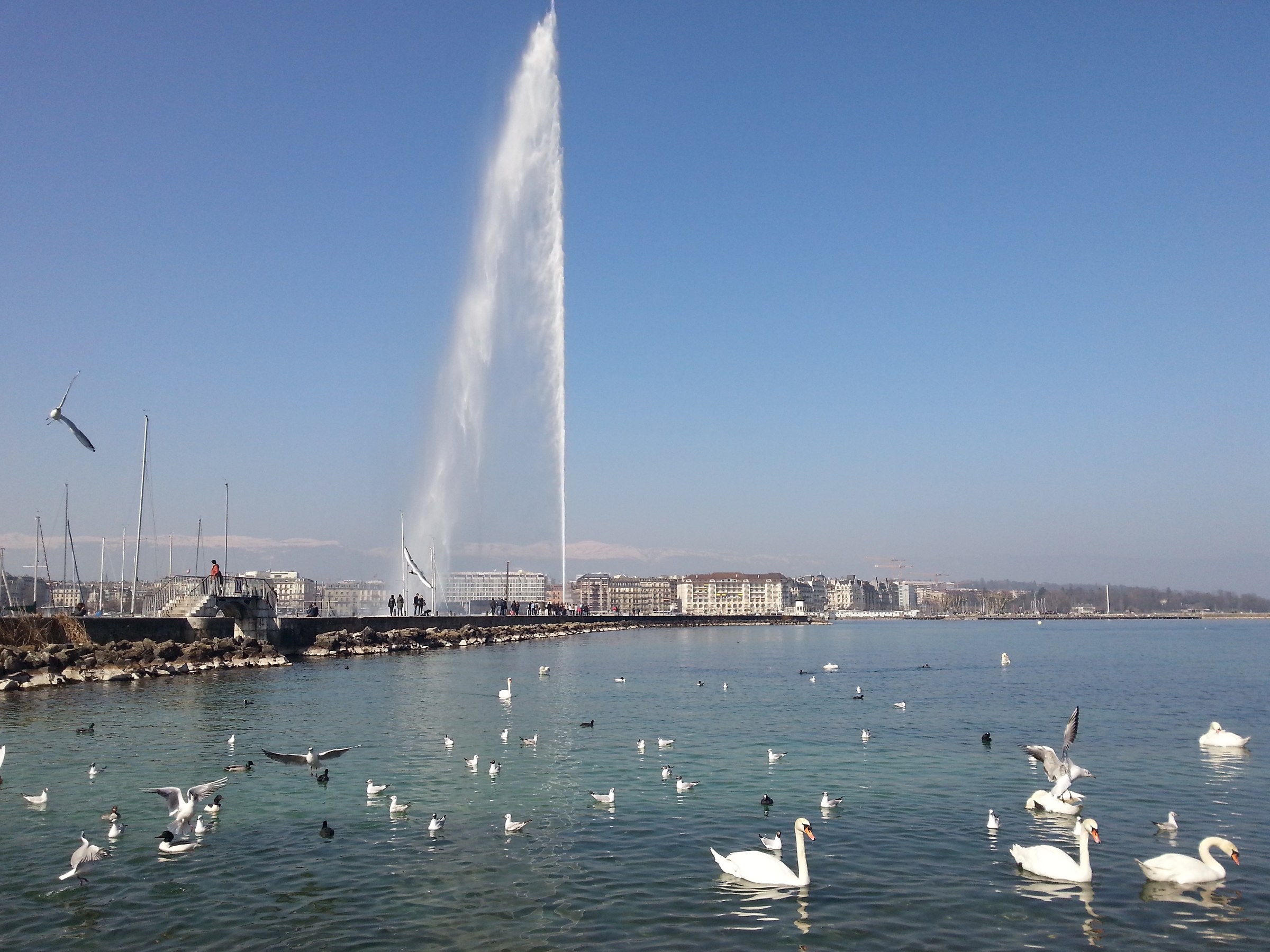 Per le vie di Ginevra