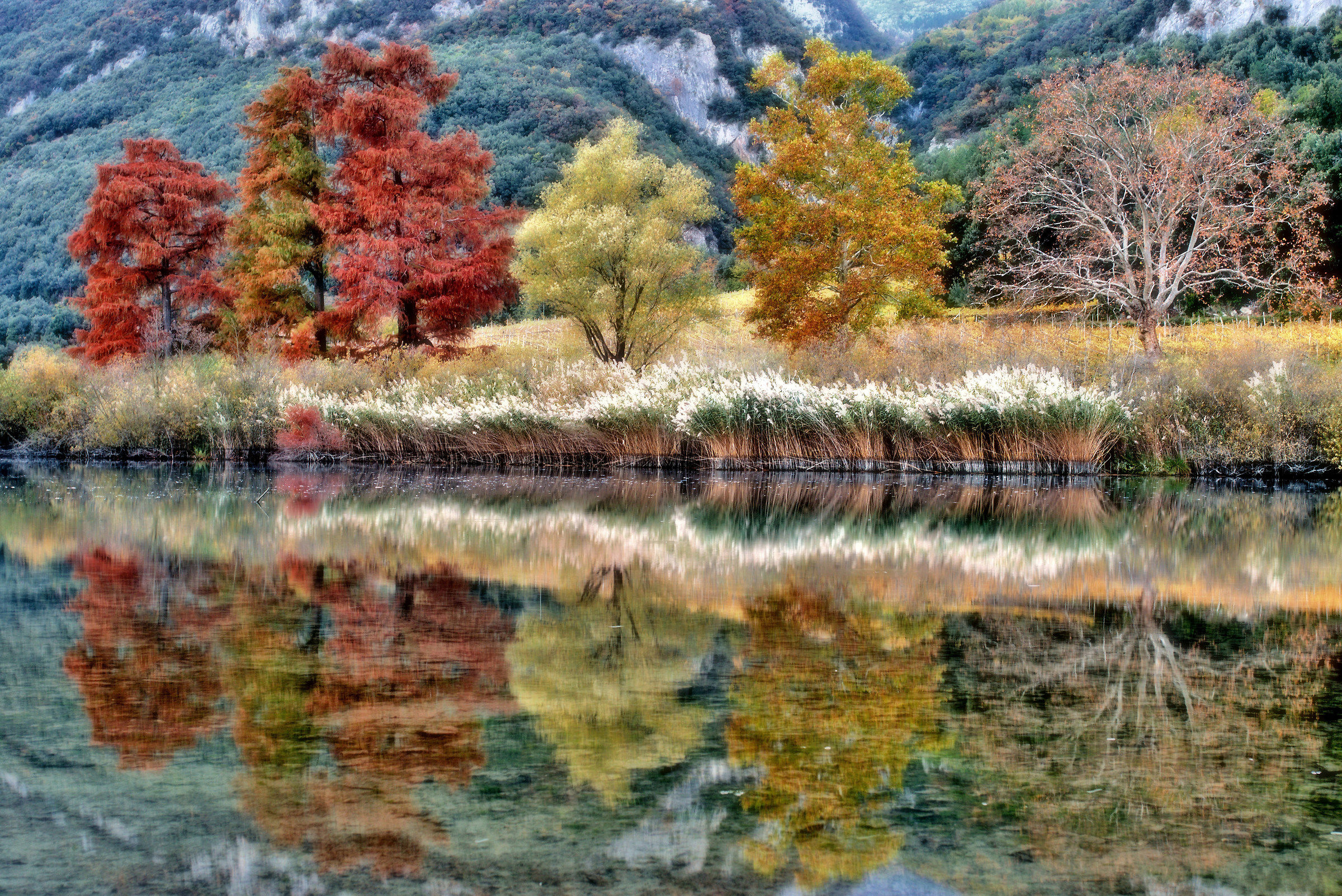 Impressionism autumn