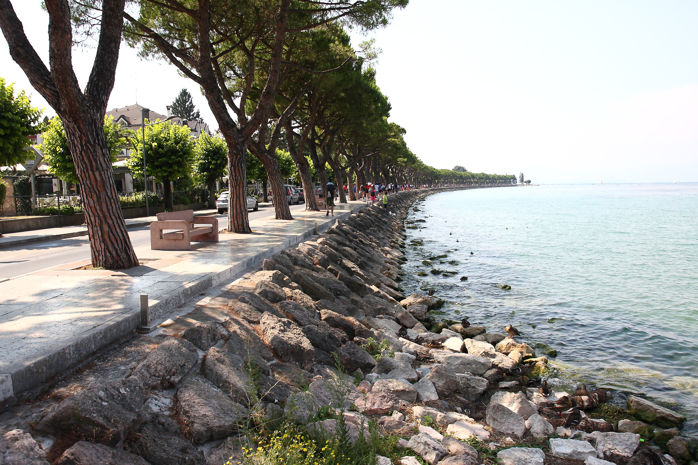 Visitando il Lago di Garda
