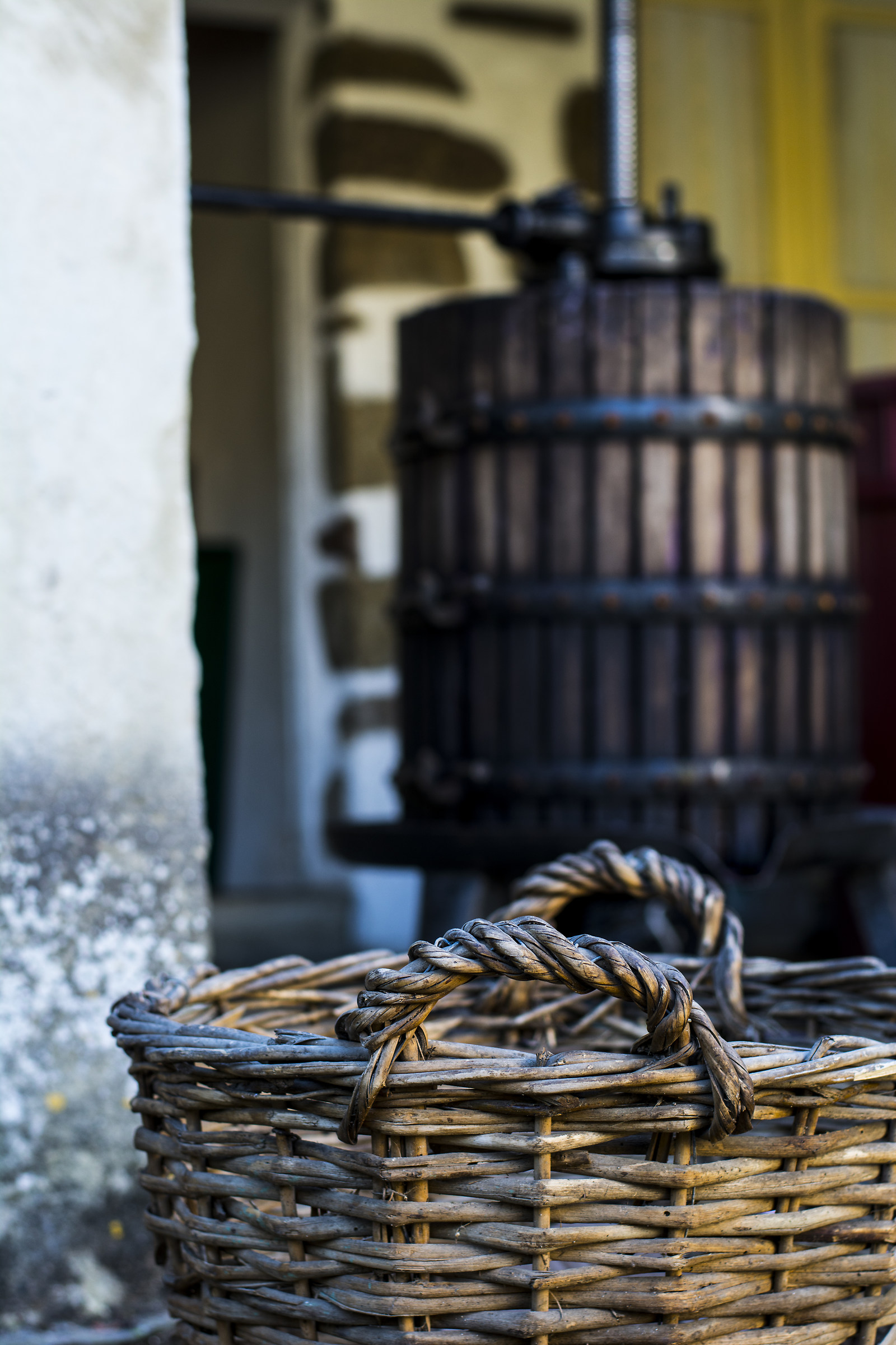 Harvest and tradition