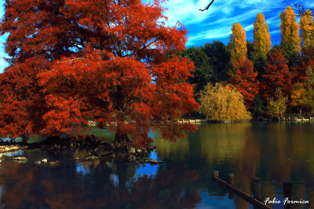 Paesaggio Parco della Cava Rimini