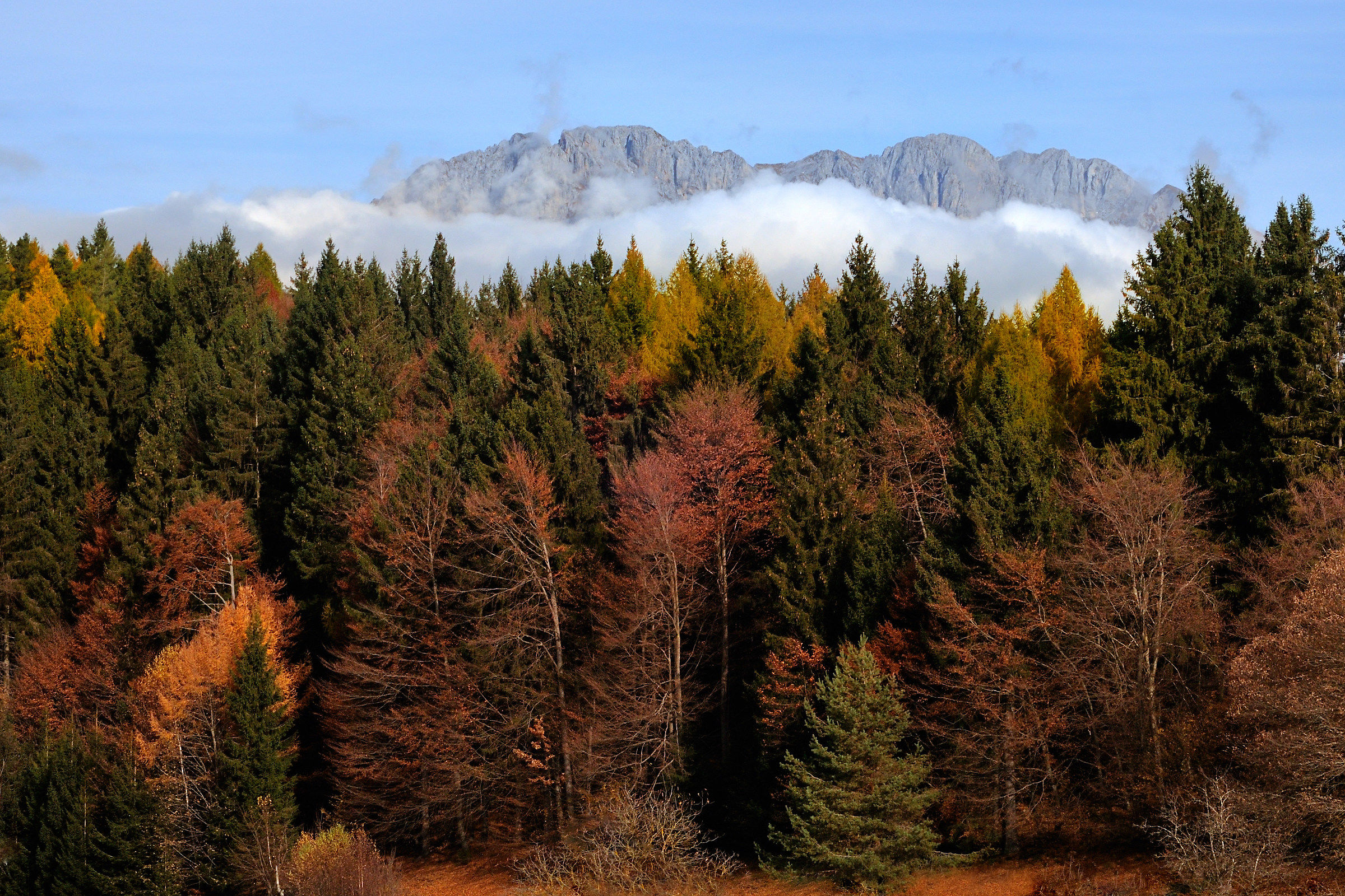 Presolana autumn dressed