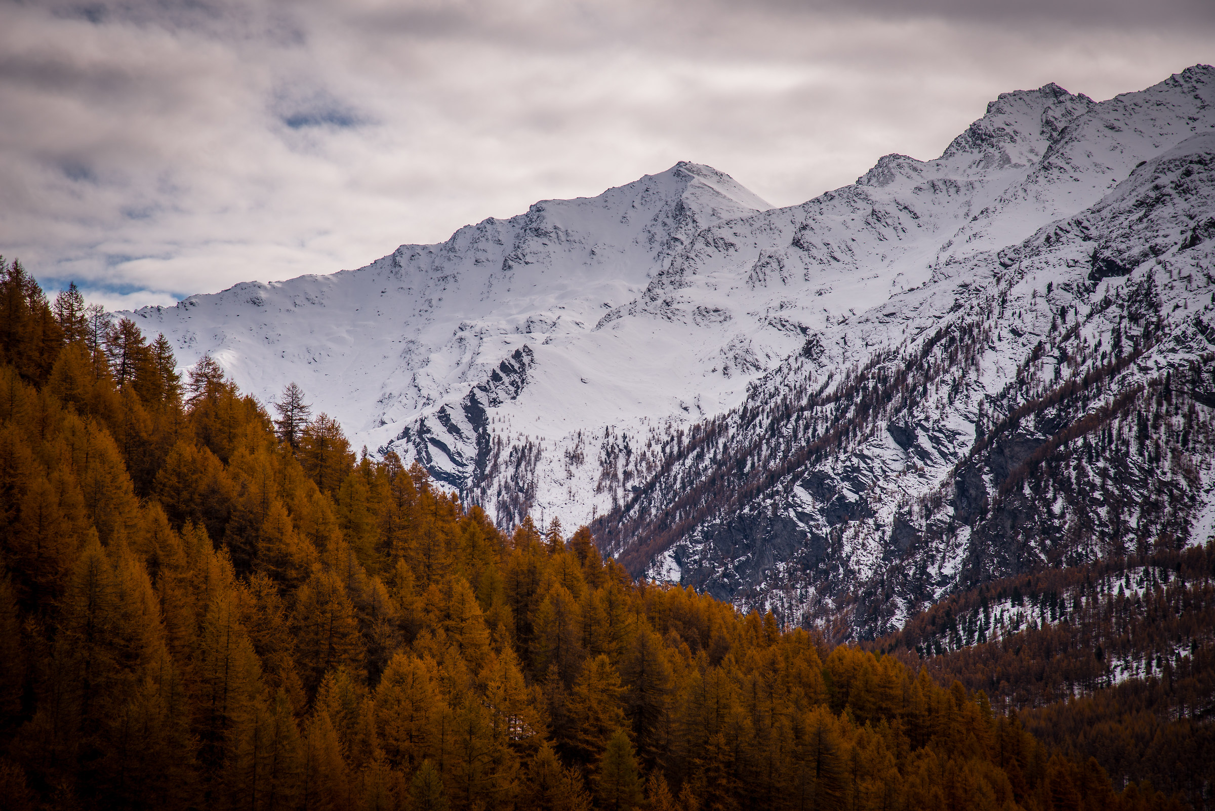 Contrasti stagionali in Valle Argentera