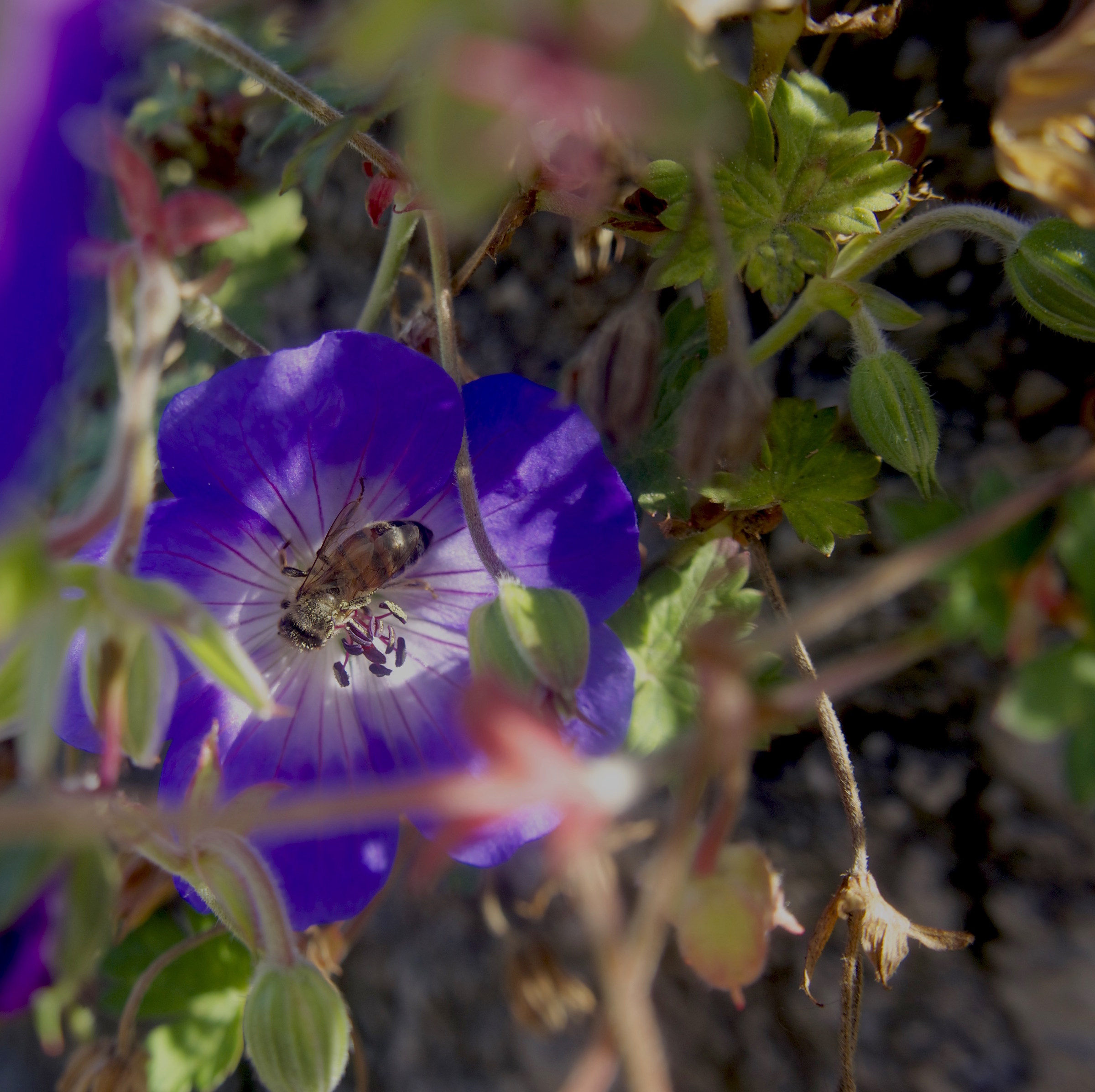 non sembra novembre..