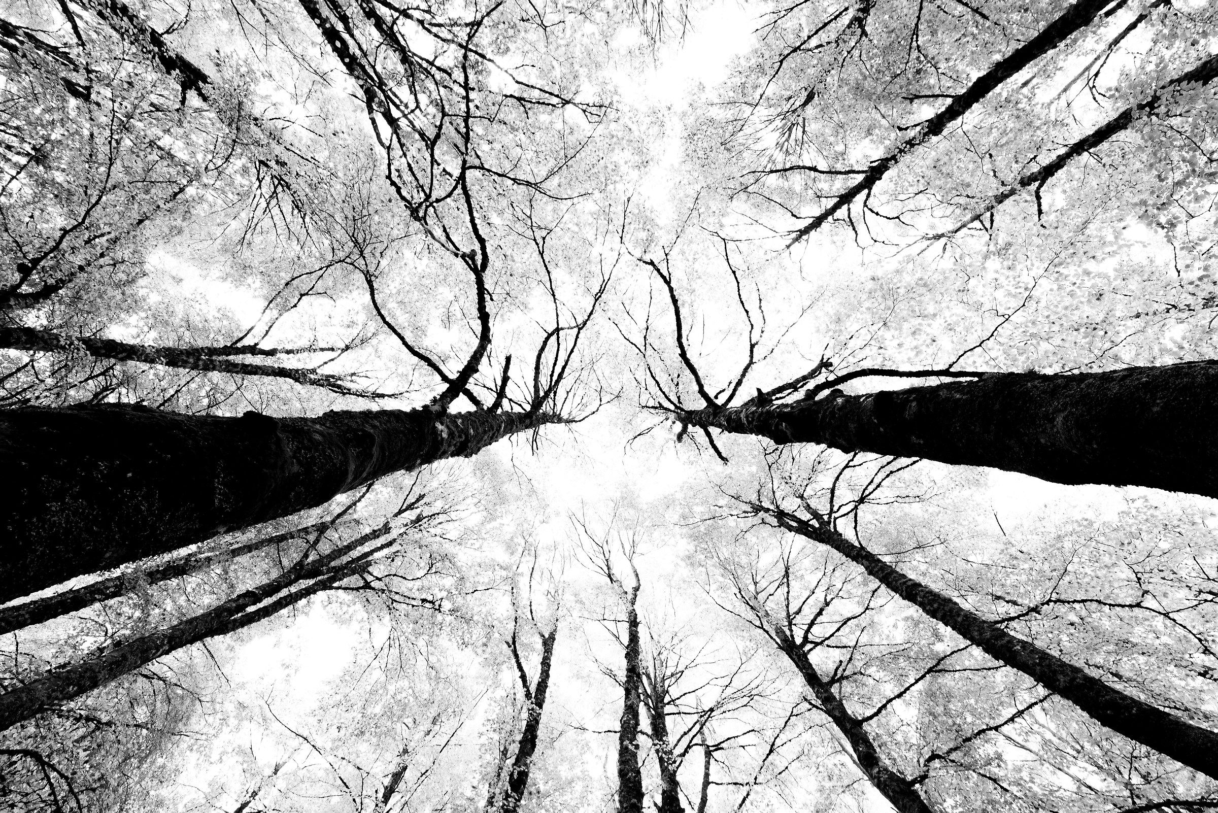 Come due braccia verso il cielo..