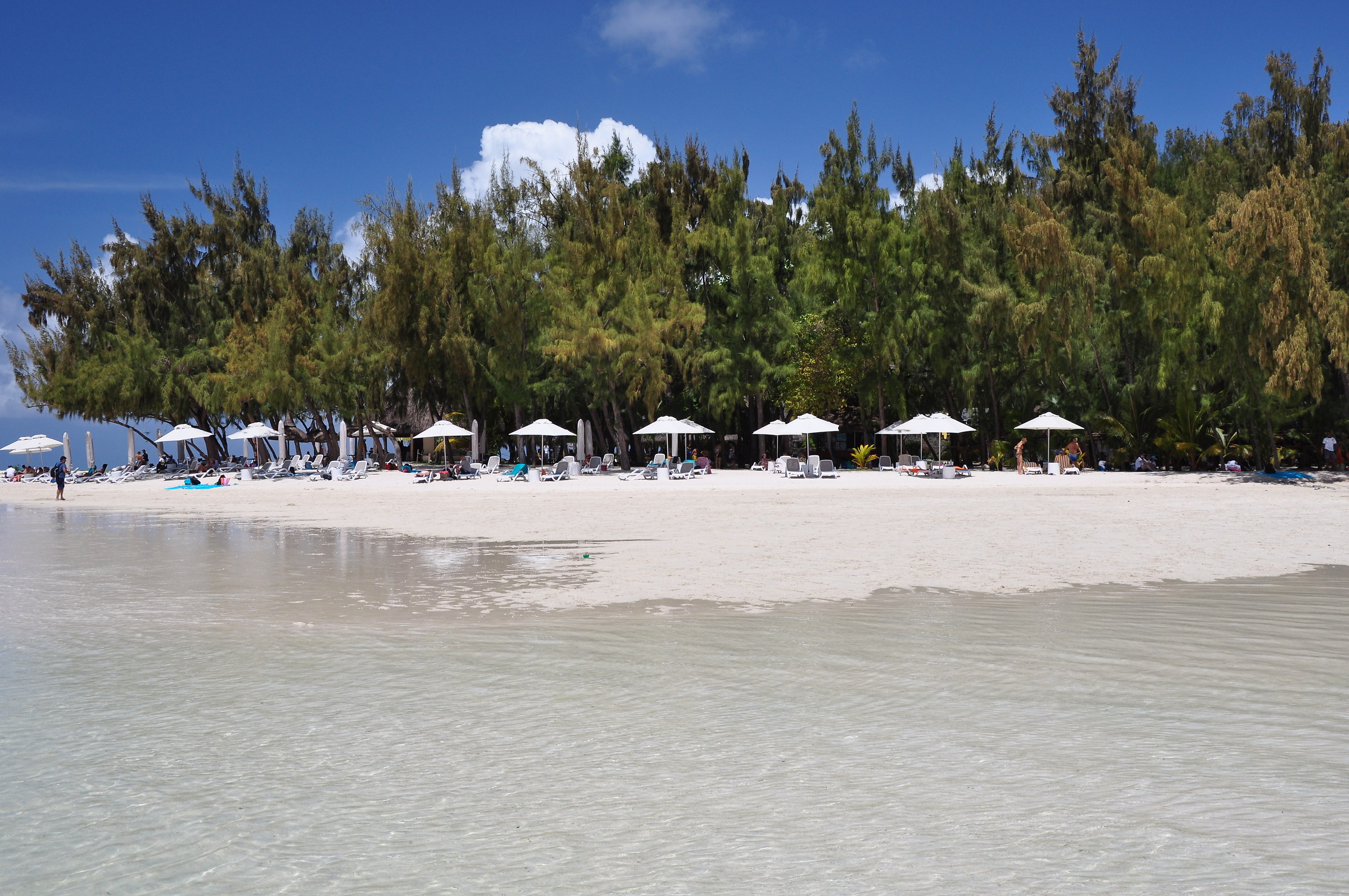Ile aux Cerfs (Isola dei Cervi)