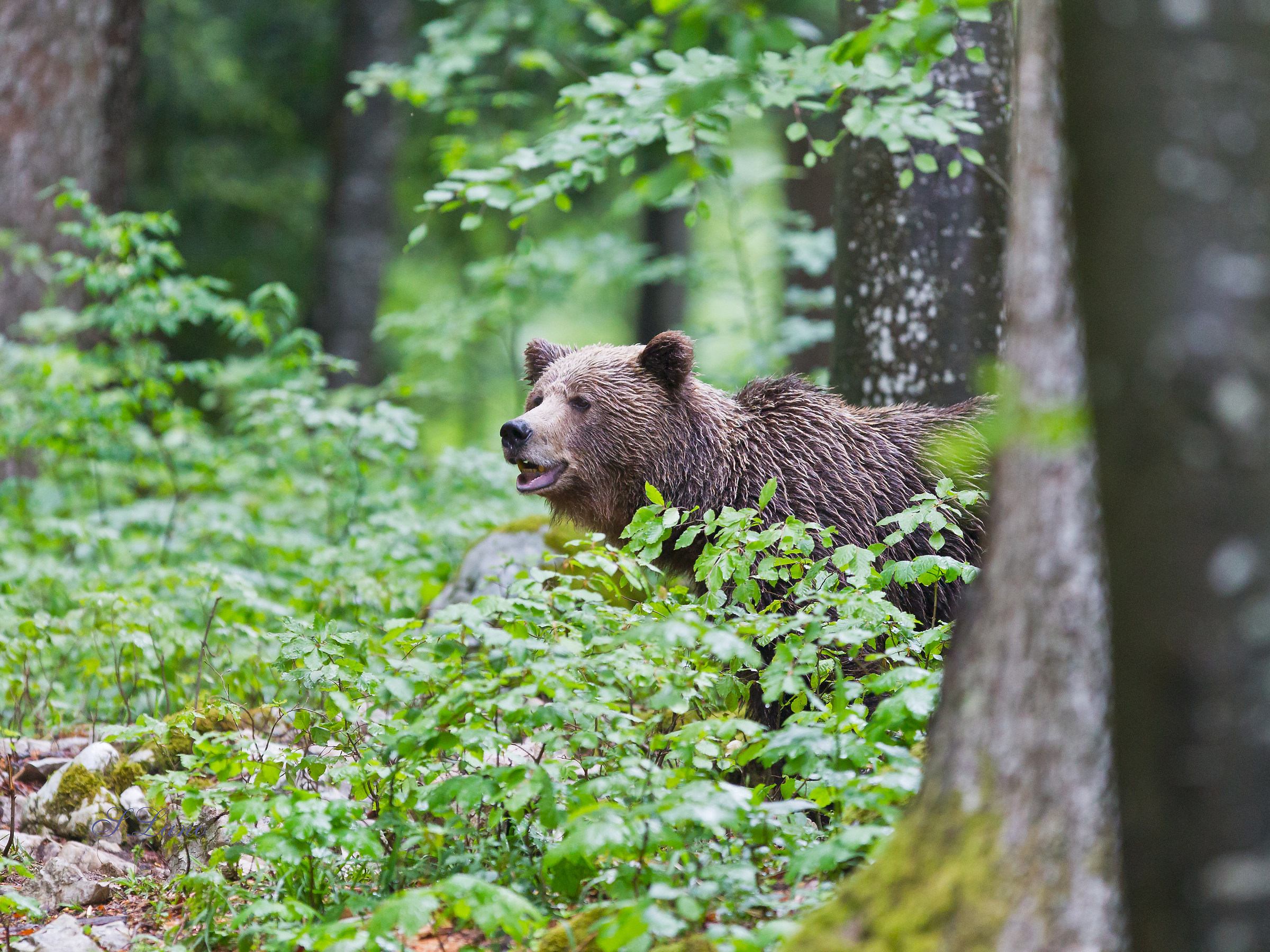 There are location and location