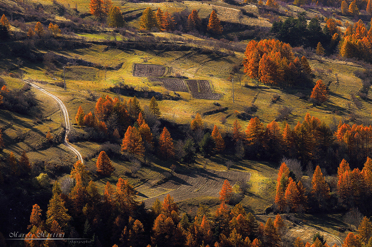 tu chiamale se vuoi...