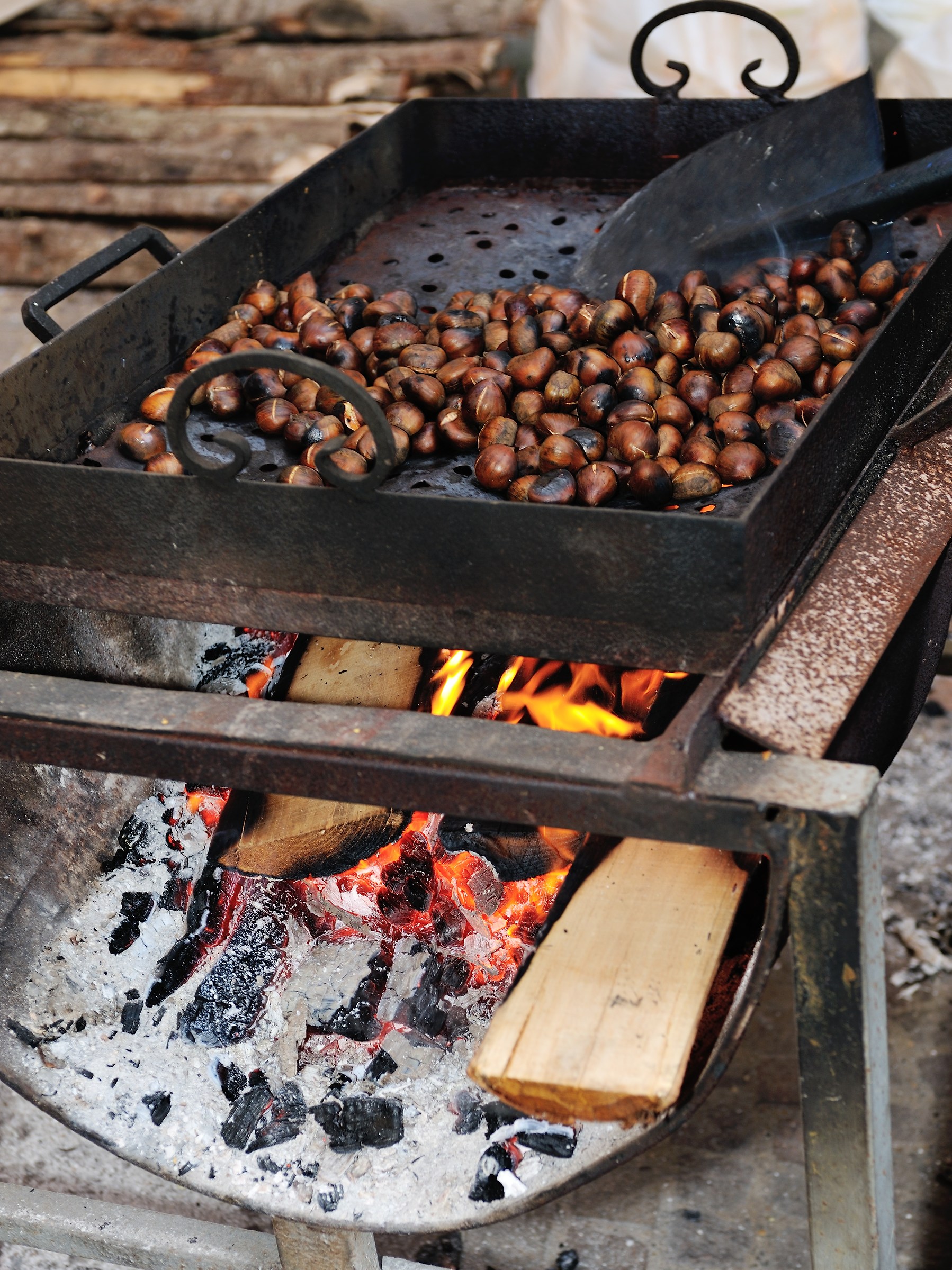 Chestnuts Cimini Mountains