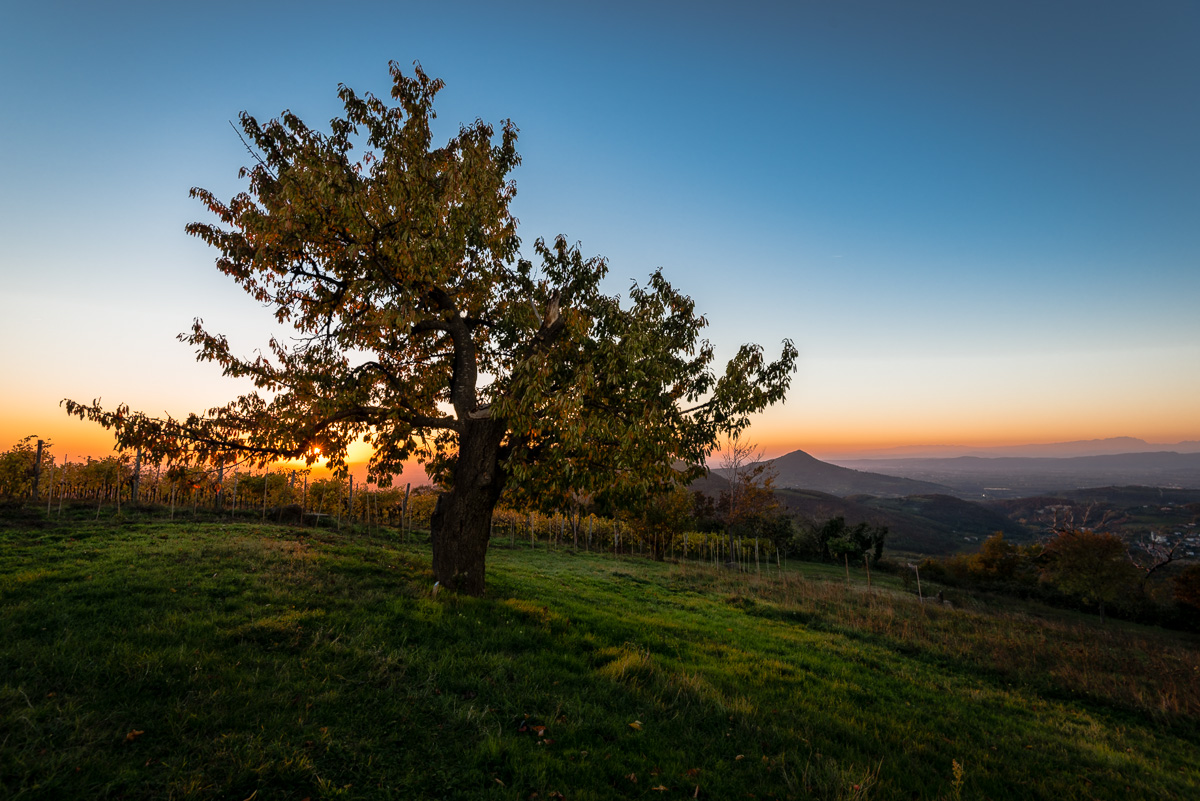 Autumn sunset from Monte Gemola
