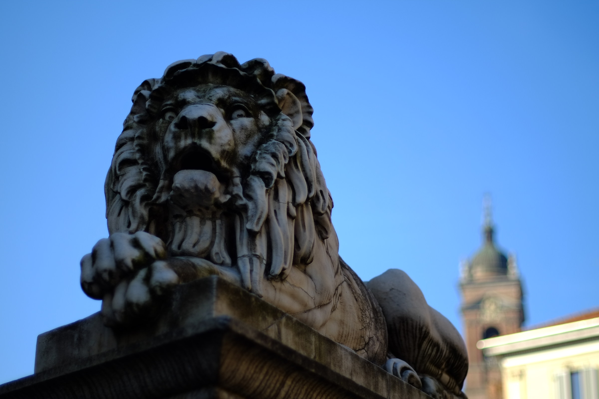 Leone dal ponte omonimo